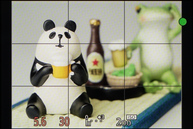 これはフォーカスセレクトモードでシャッターボタンを半押しした状態の画面。