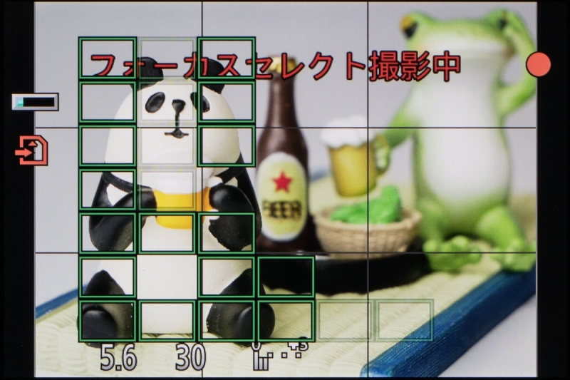 フォーカスセレクトモードで撮影中の画面。ピント位置が近いほうから遠いほうに向かってピントをずらしながら連写していく。