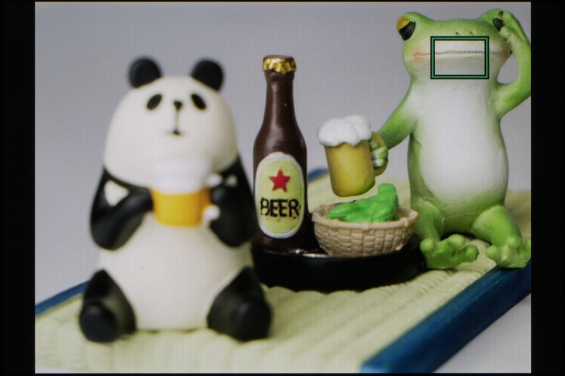 カメラから遠いカエルの顔に重なる測距点を選択すると、その測距点でピントが合っている画像が表示される。