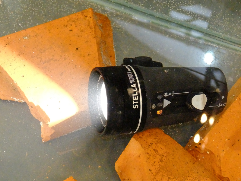 水中に沈めるデモを行っていた