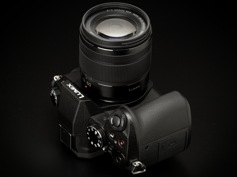 装着レンズはLUMIX G VARIO 12-60mm / F3.5-5.6 ASPH. / POWER O.I.S.