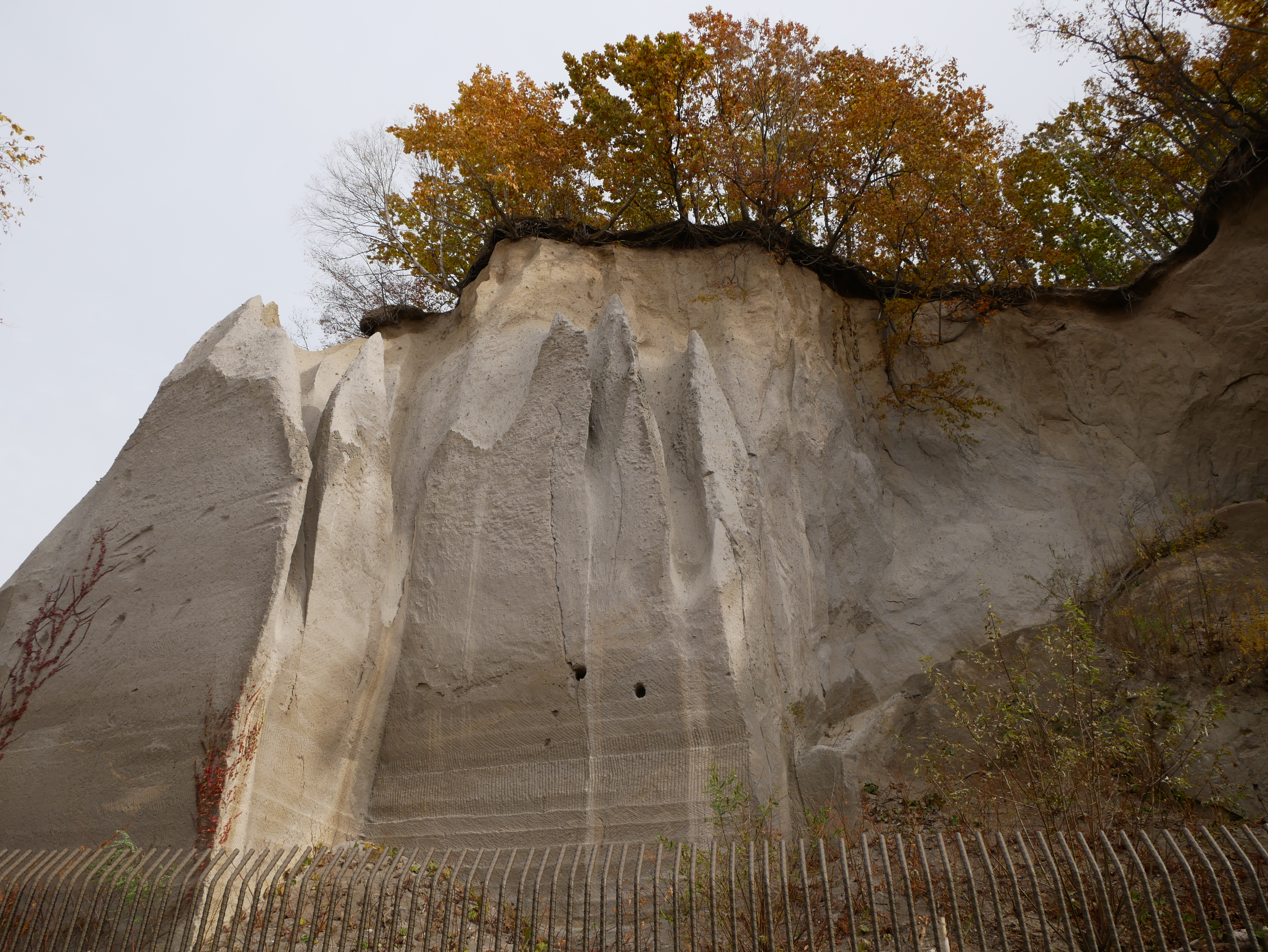 DMC-G8 / LUMIX G VARIO 12-60mm / F3.5-5.6 ASPH. / POWER O.I.S. / 1/200秒 / F8 / 0EV / ISO200 / 絞り優先AE / 12mm