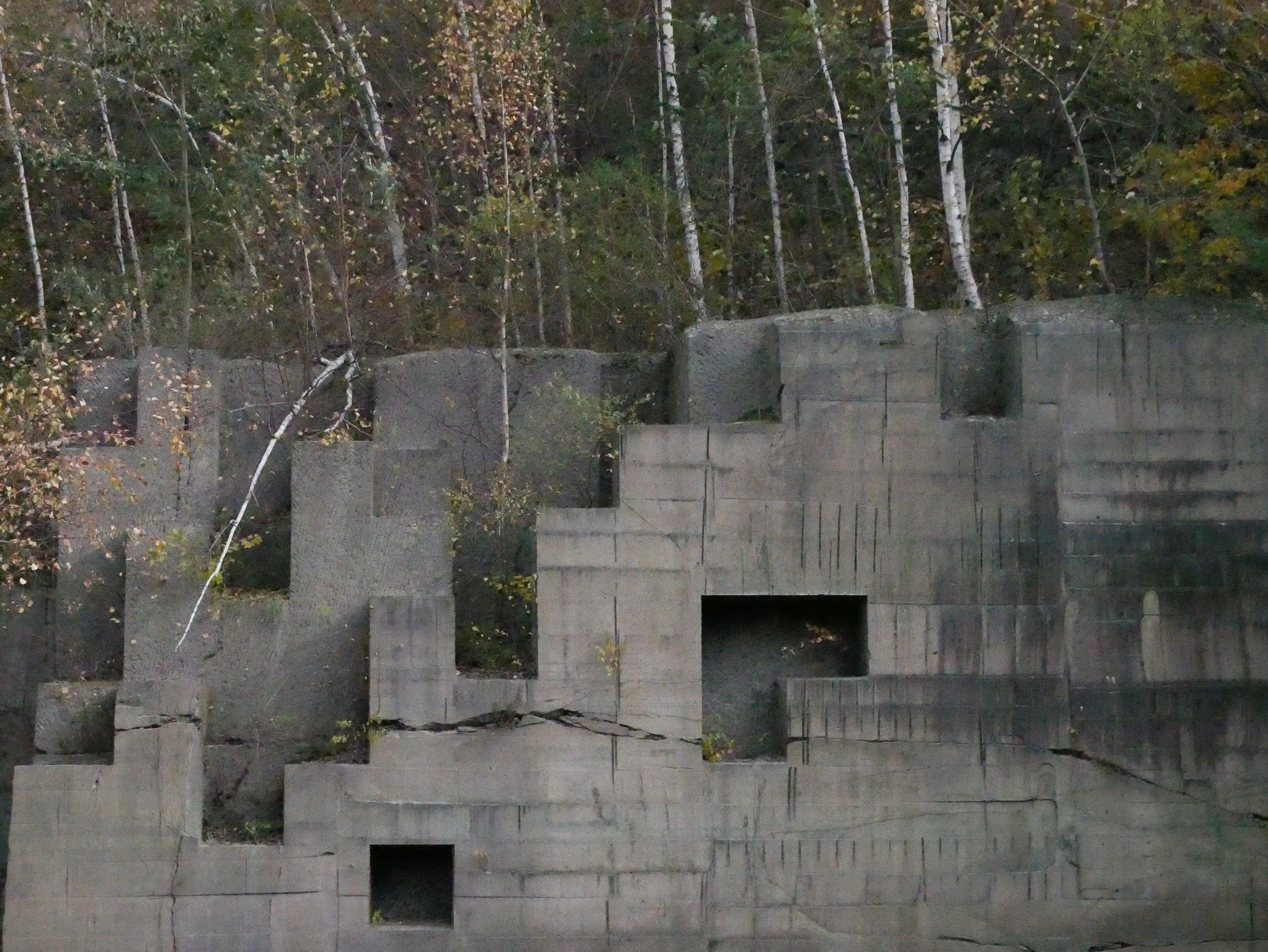 DMC-G8 / LUMIX G VARIO 12-60mm / F3.5-5.6 ASPH. / POWER O.I.S. / 1/13000秒 / F8 / -0.7EV / ISO25600 / 絞り優先AE / 35mm