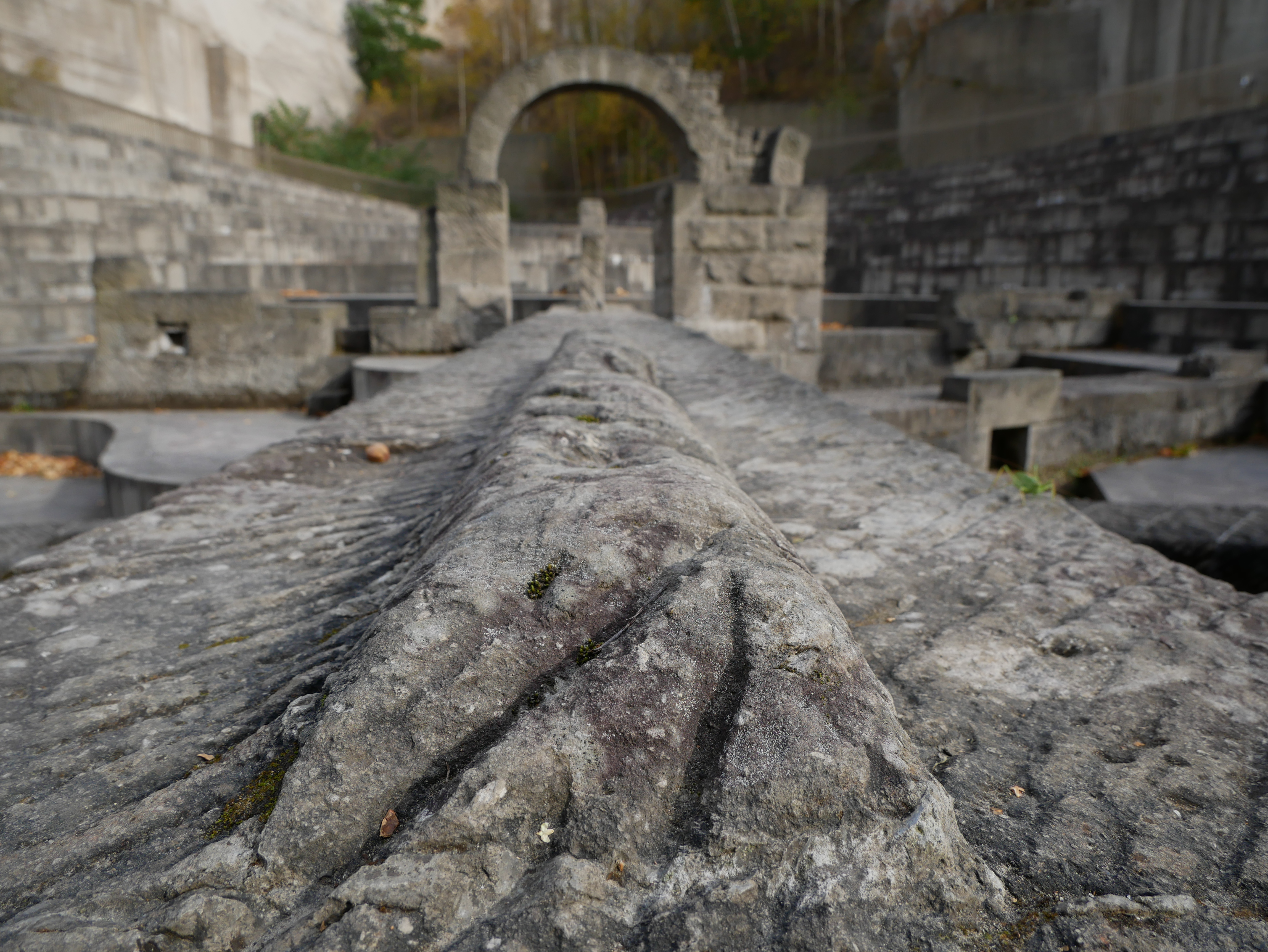 DMC-G8 / LUMIX G VARIO 12-60mm / F3.5-5.6 ASPH. / POWER O.I.S. / 1/400秒 / F5.6 / -0.3EV / ISO200 / 絞り優先AE / 12mm