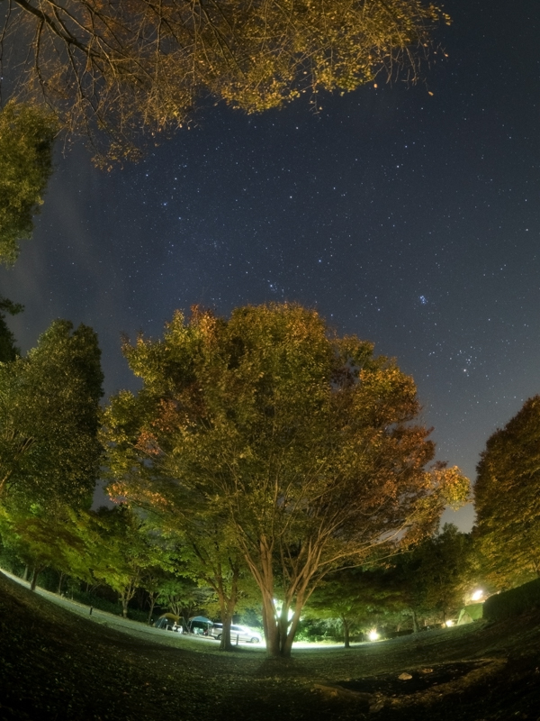 キャンプファイヤーのできる広場の星空を大口径フィッシュアイレンズで撮影した。カシオペア座からペルセウス座、おうし座にかけての星空が見えている。23時頃に照明は消灯されて、星がここから見えるいちばん明るいものになった。