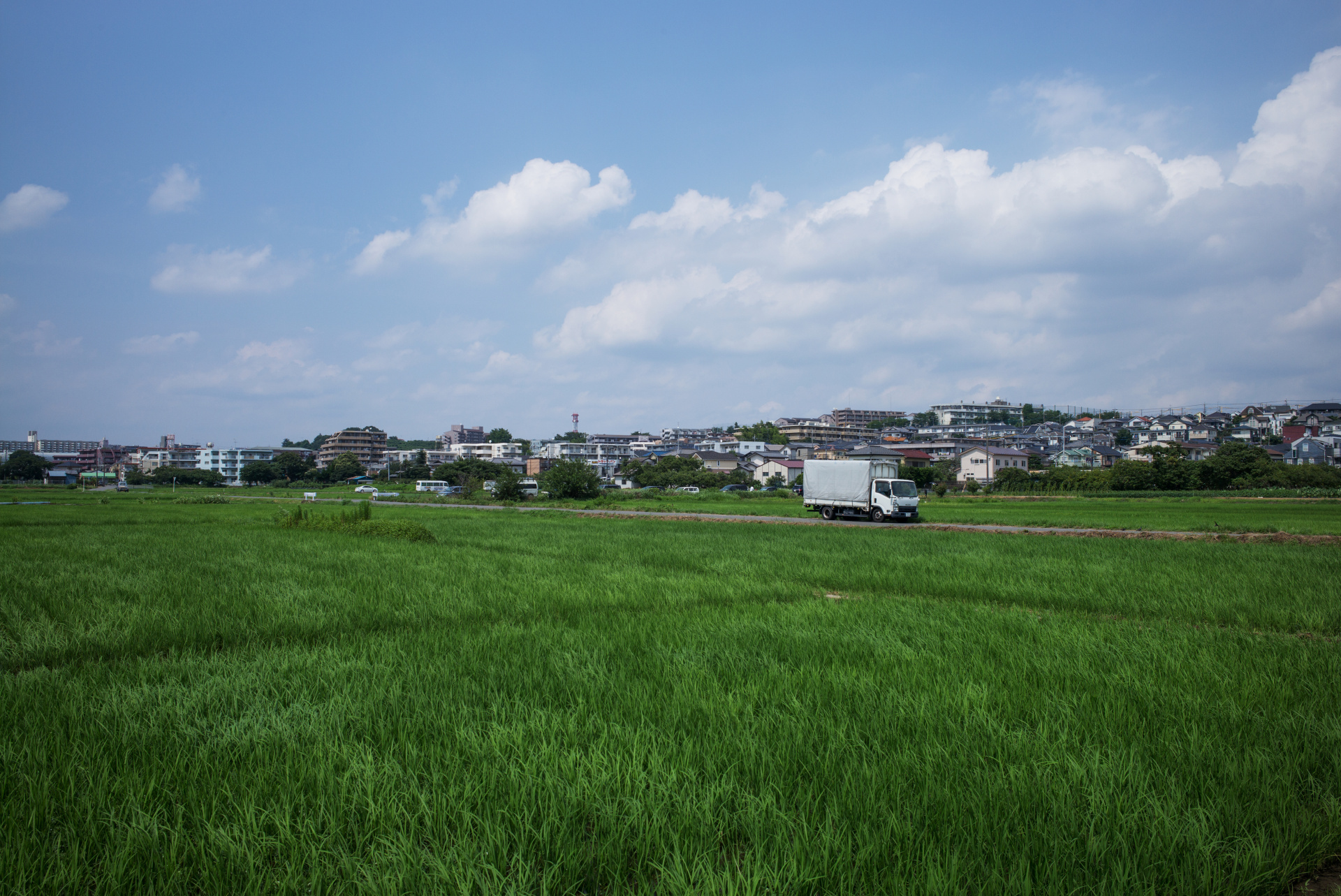 F8まで絞っても若干の周辺光量低下を感じるが、個人的にはそこも気に入っている。LEICA M（Typ240）/ ISO200 / F8 / 1/1,000秒 / WB:オート