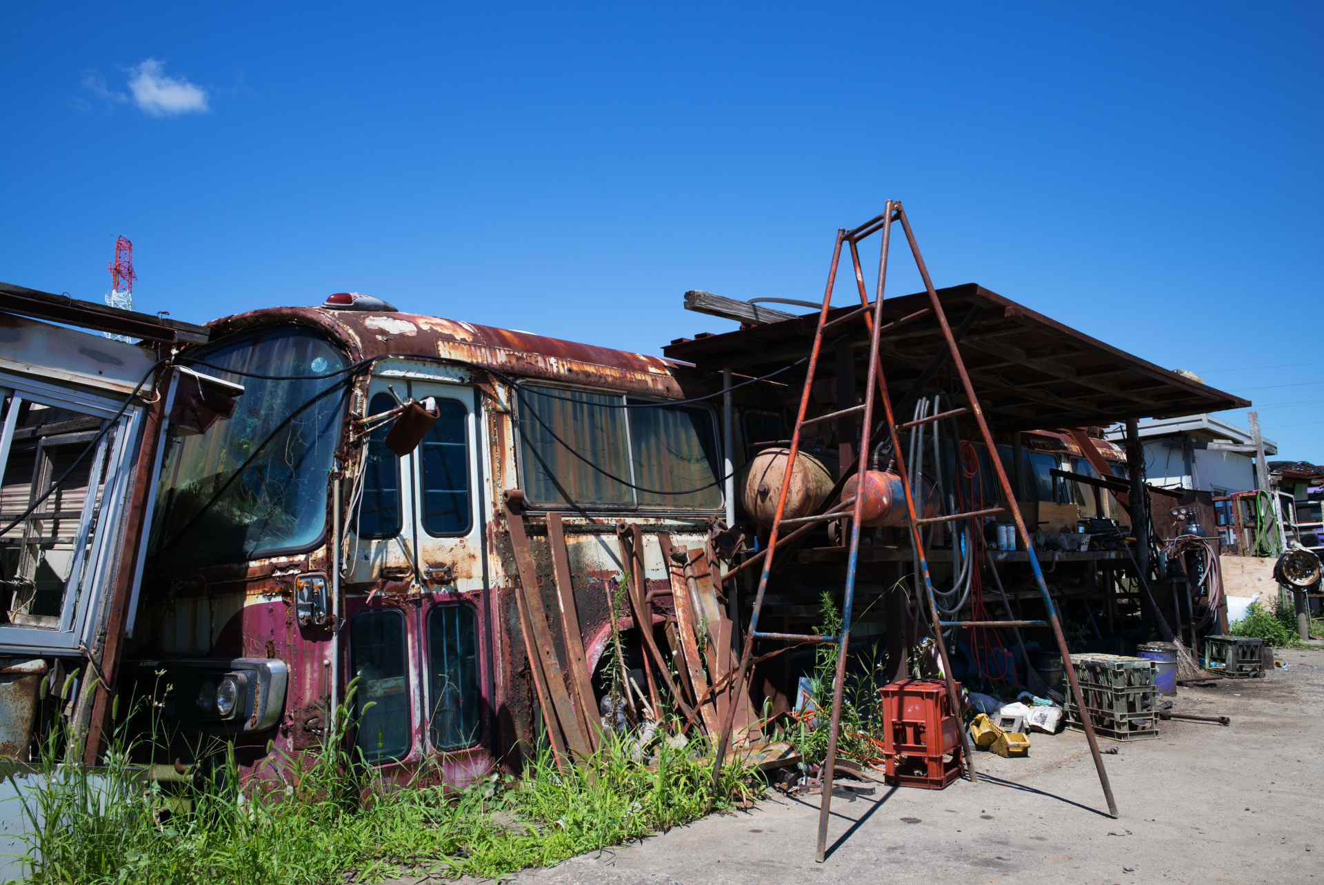 こうしたゾリゾリとした質感の被写体でも、このレンズはきわめて繊細な質感描写になる。このあたりが同じ28mmでもELMARITと印象が違うところ。LEICA M（Typ240）/ ISO200 / F8 / 1/350秒 / WB:オート