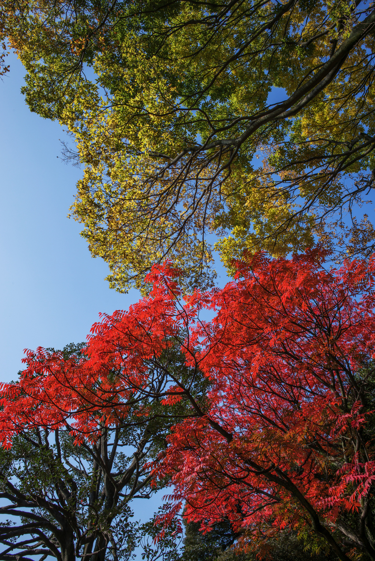 こういうパンフォーカスでは、画面全体の画質の均質さが際立つ。LEICA M（Typ240）/ ISO200 / F8 / 1/250秒 / WB:オート