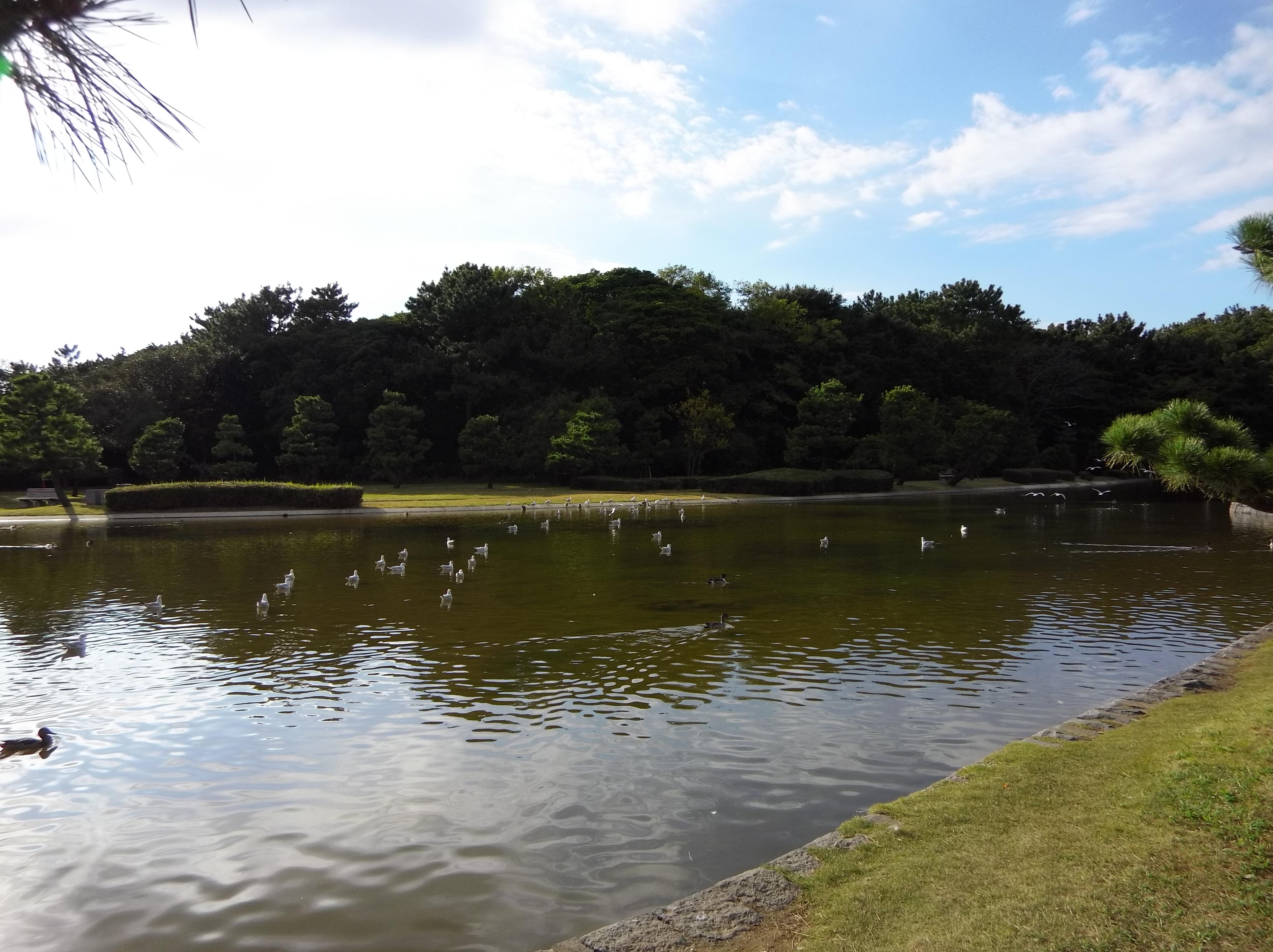 F3.5 / 1/1,250秒 / ±0EV / ISO100 / 4.5mm（25mm相当）