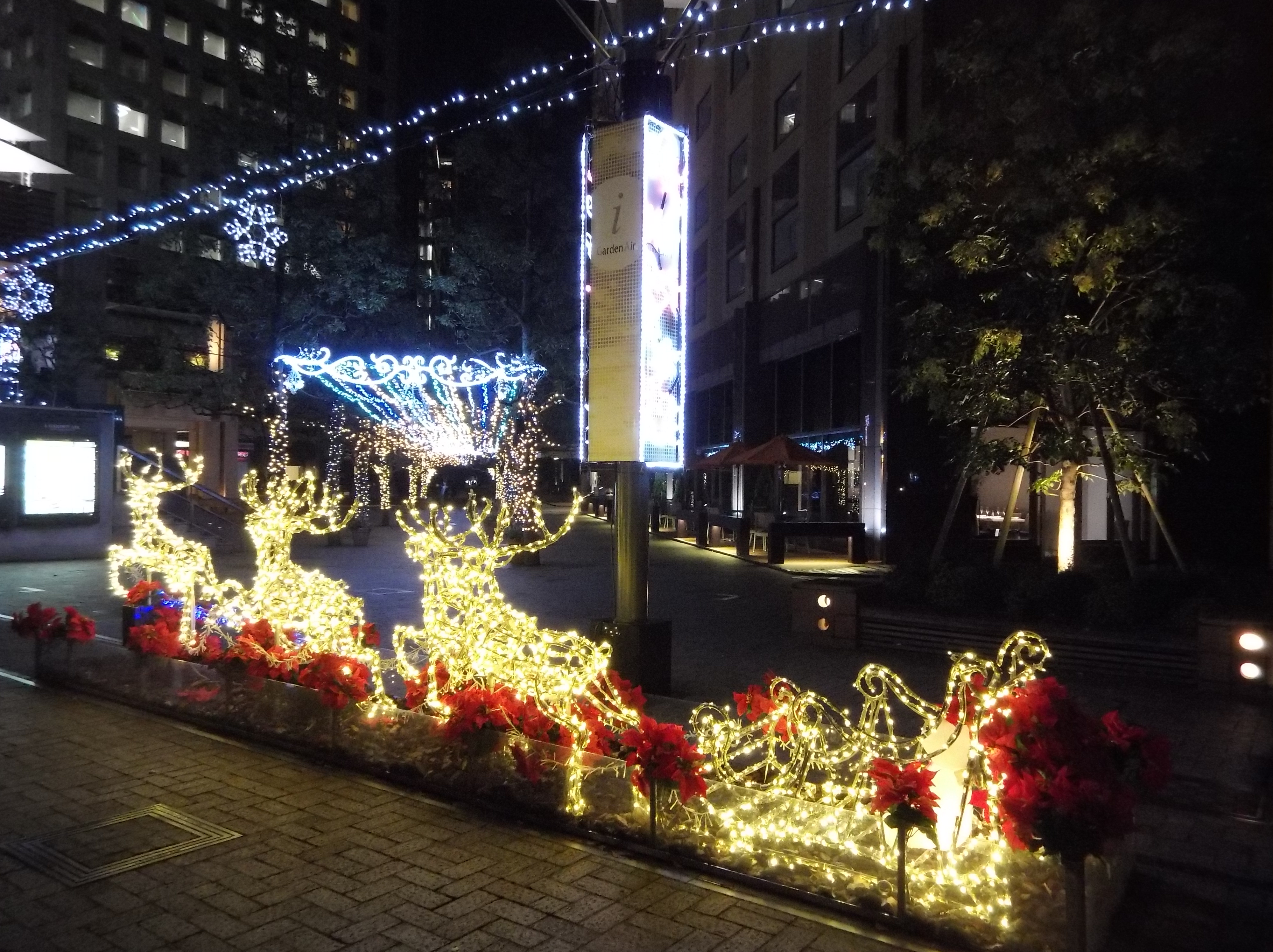 F3.5 / 1/30秒 / ±0EV / ISO1250 / 4.5mm（25mm相当）