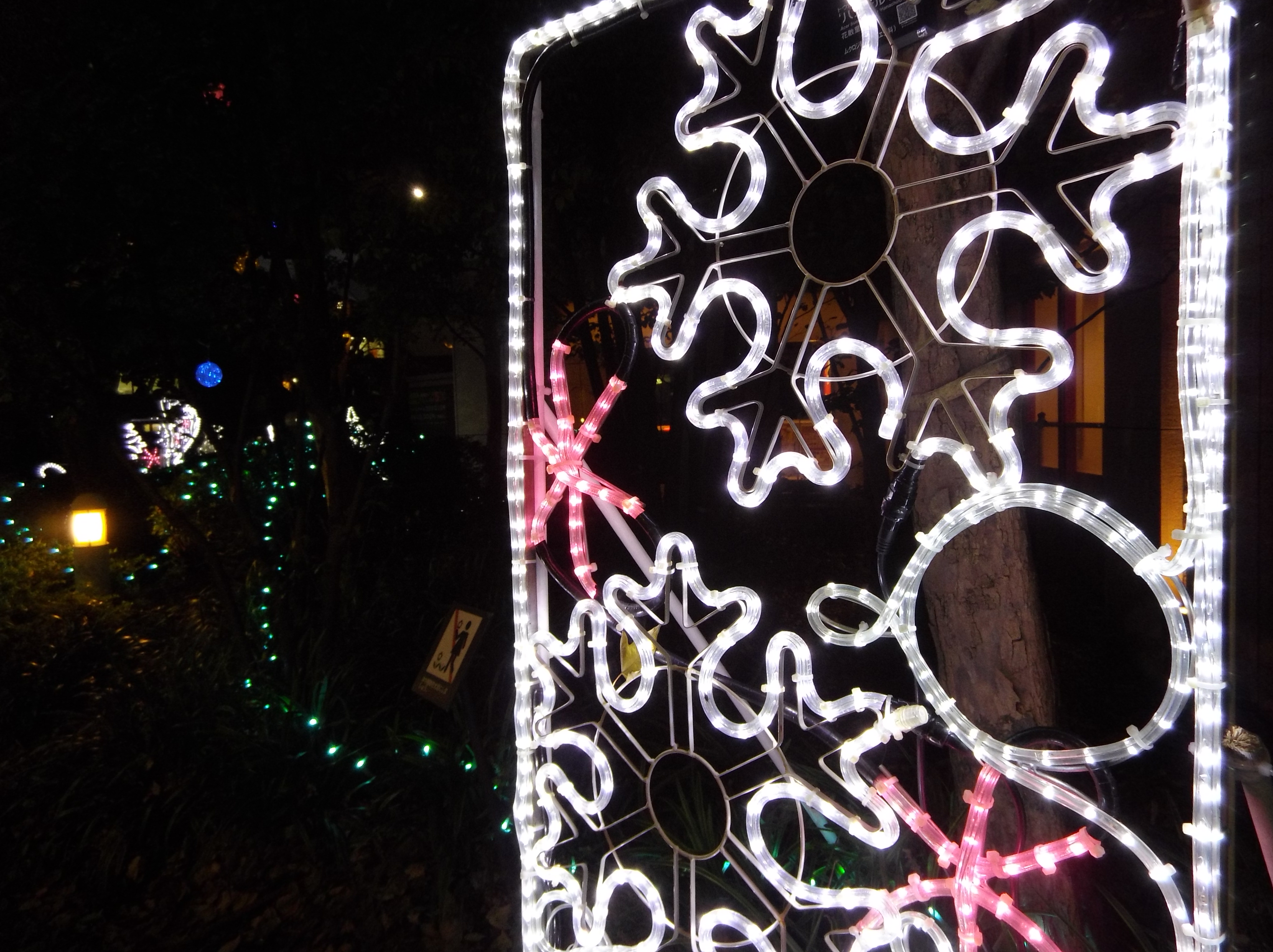 F3.5 / 1/30秒 / ±0EV / ISO200 / 4.5mm（25mm相当）