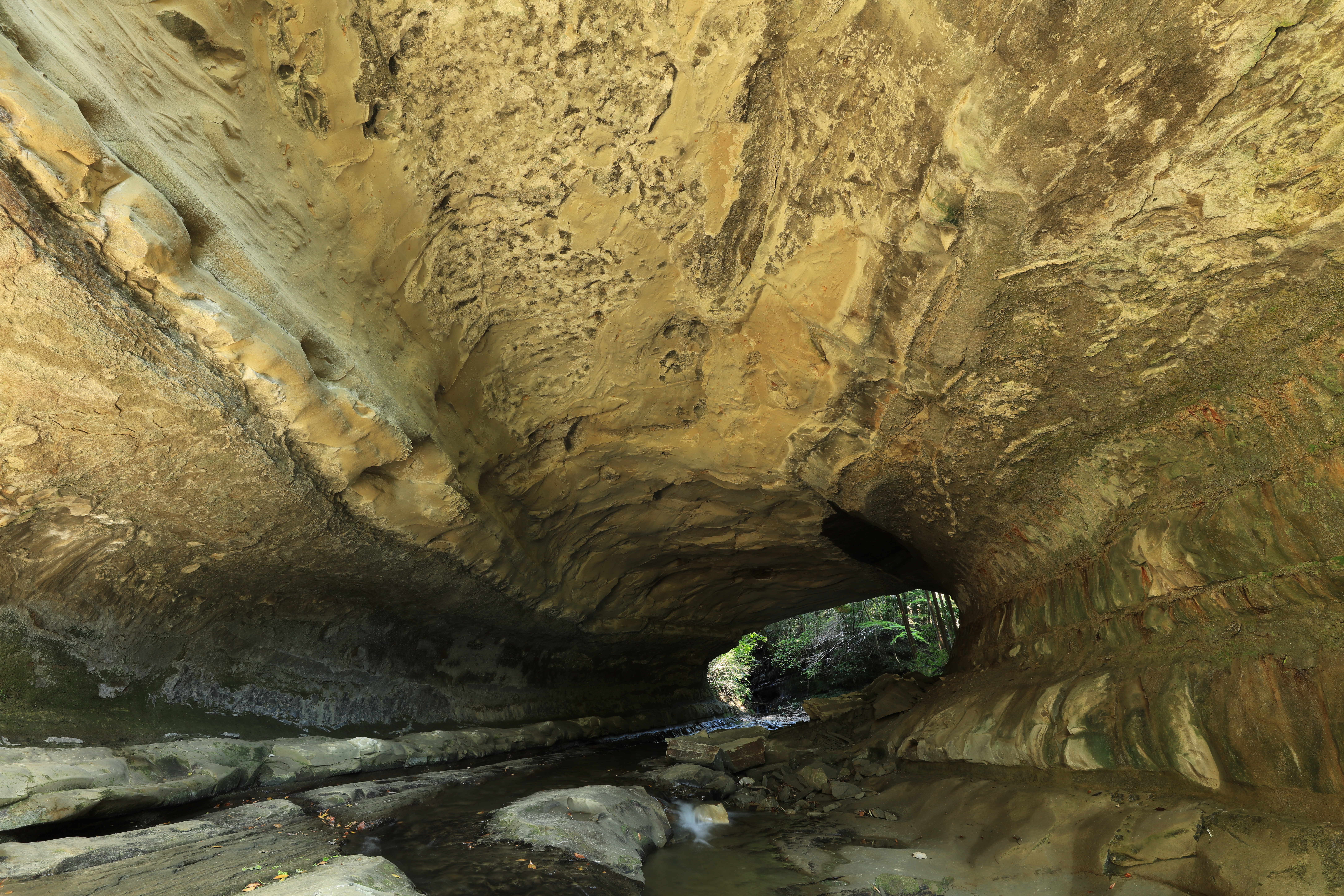 EOS 5Ds R / EF16-35mm F2.8L III USM / 1/1.7秒 / F8 / -0.7EV / ISO100 / 絞り優先AE / 16mm