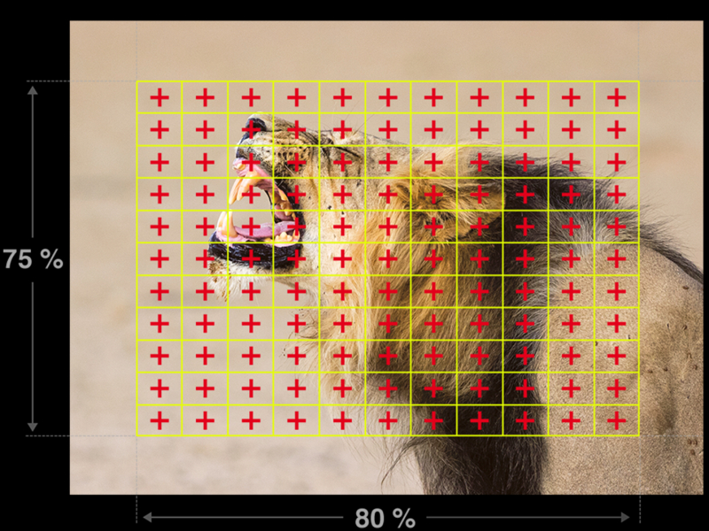 E-M1 Mark IIの像面位相差センサー配置（イメージ、オリンパス提供）