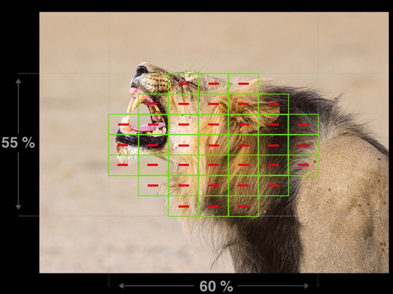 （参考）E-M1の像面位相差センサー配置。計37点の仕様で、全て非クロスセンサーだった（イメージ、オリンパス提供）