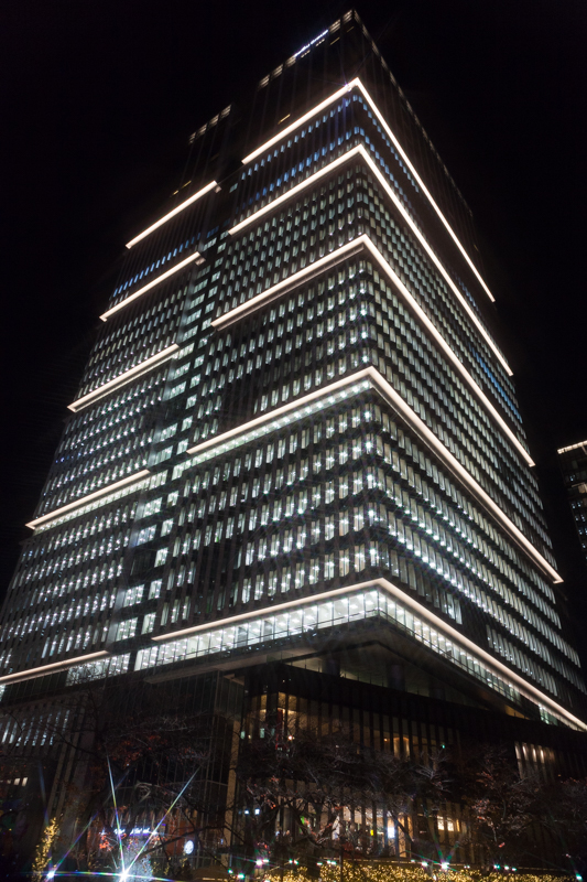 東京ガーデンテラス紀尾井町には高層ビル、紀尾井タワーがそびえる。