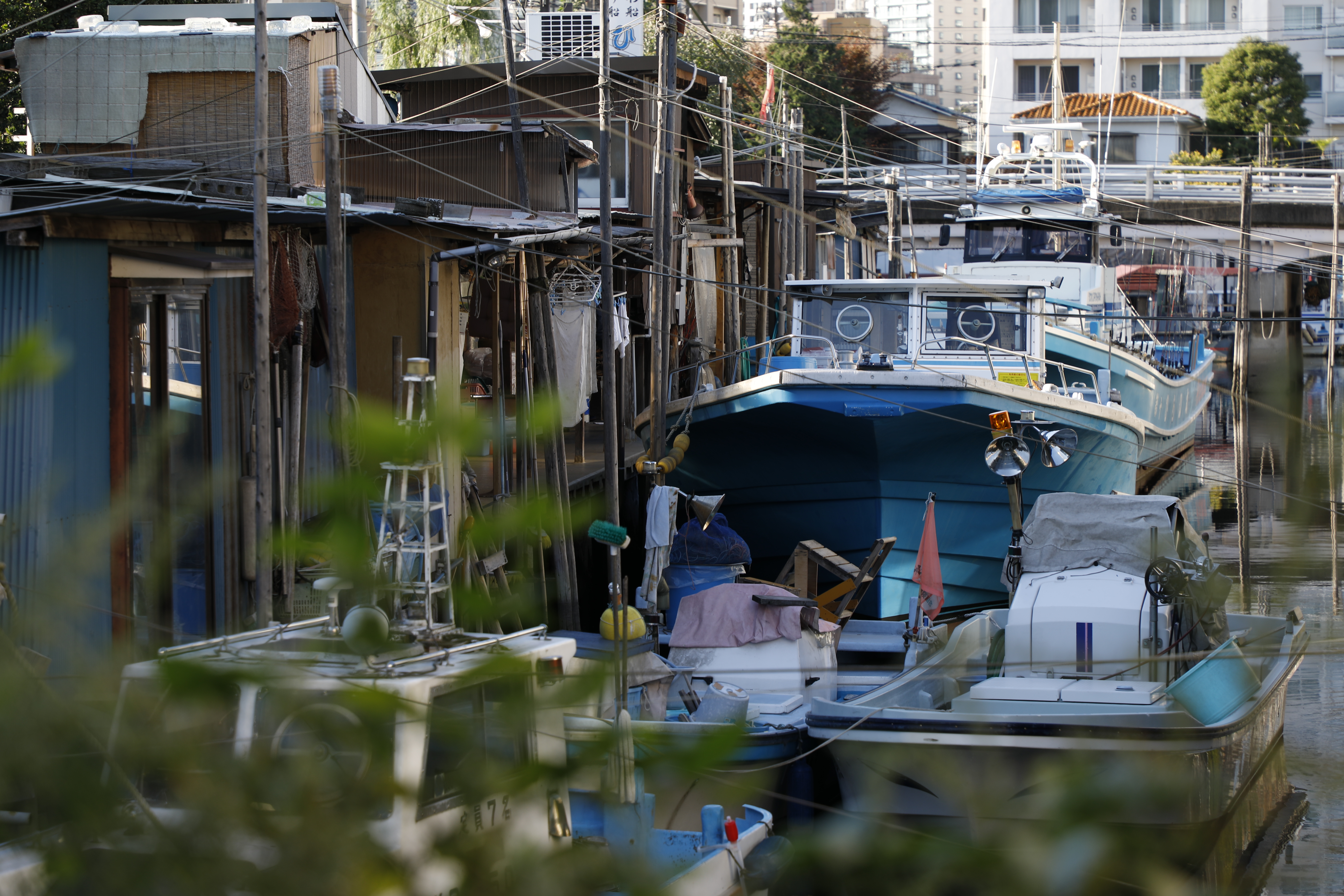 EOS 5D Mark IV / EF24-105mm F4L IS II USM / 1/125秒 / F5.6 / -0.7EV / ISO100 / 絞り優先AE / 105mm