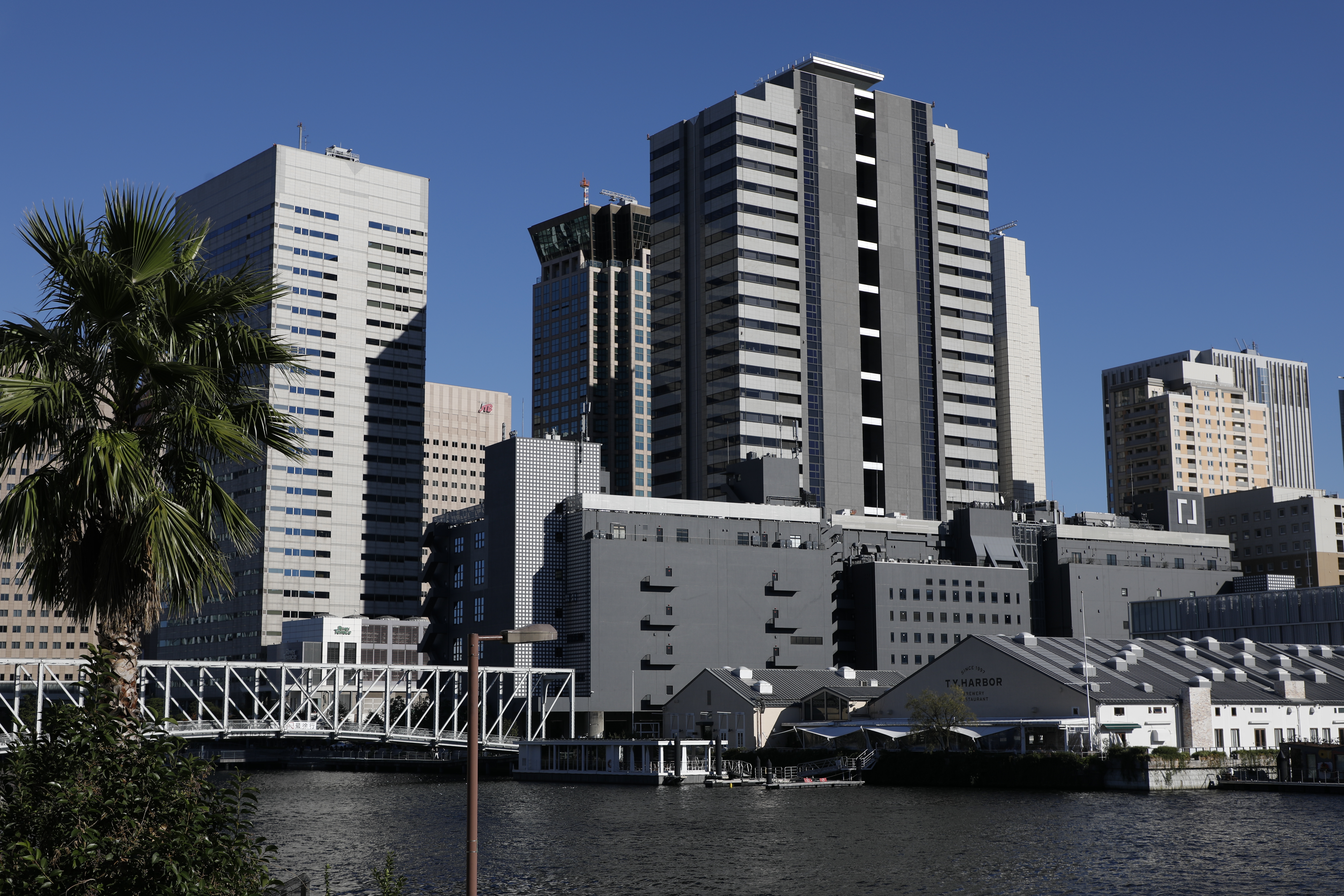 EOS 5D Mark IV / EF24-105mm F4L IS II USM / 1/500秒 / F8 / -0.7EV / ISO100 / 絞り優先AE / 46mm