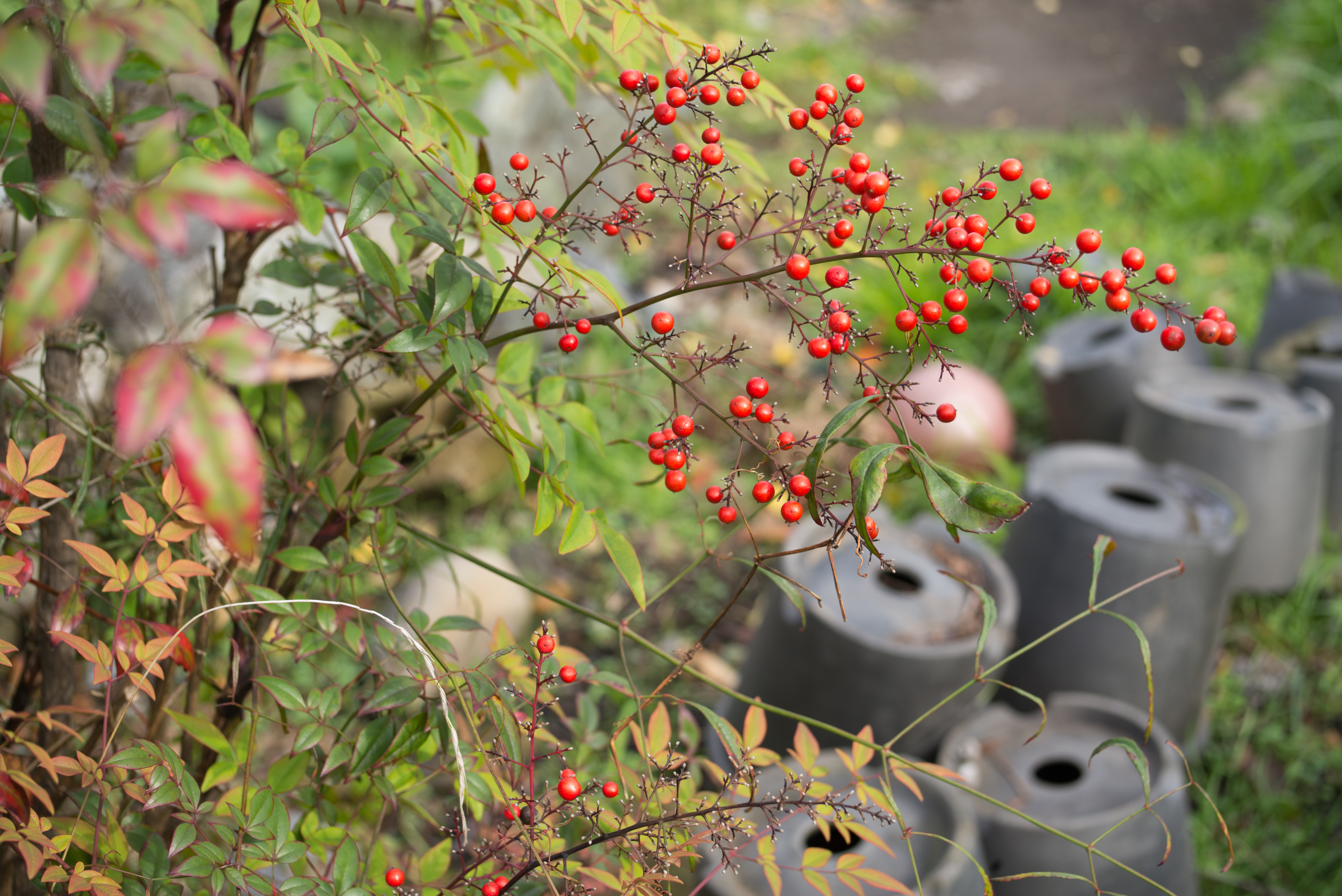 Leica M Typ 240 / Heliar Vintage Line 50mm F3.5 / 1/180秒 / F5.6 / ±0EV / ISO200 / WB:オート