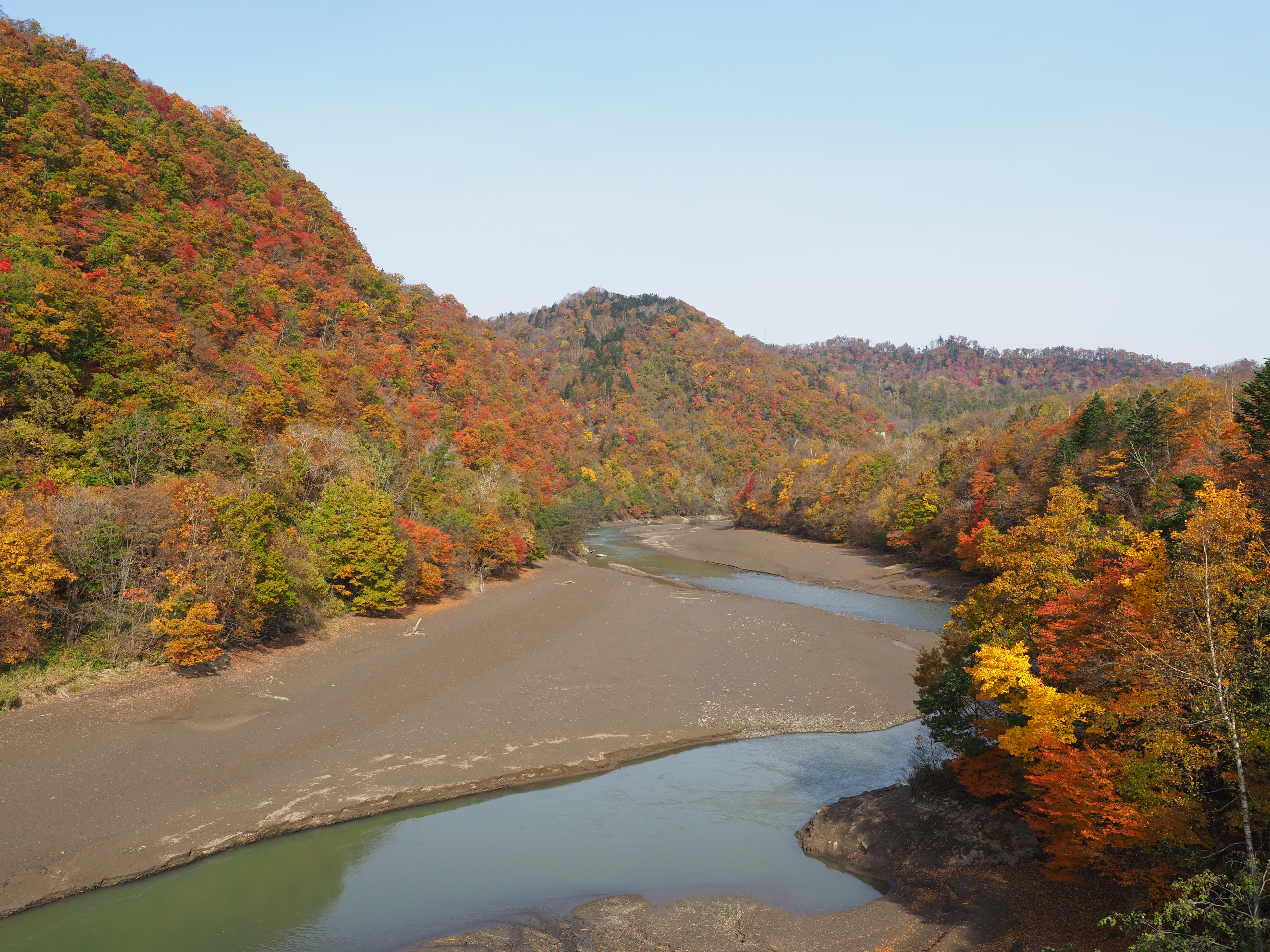 E-M1 Mark II / M.ZUIKO DIGITAL ED 12-40mm F2.8 PRO / 1/500秒 / F5.6 / +0.3EV / ISO200 / 絞り優先AE / 14mm