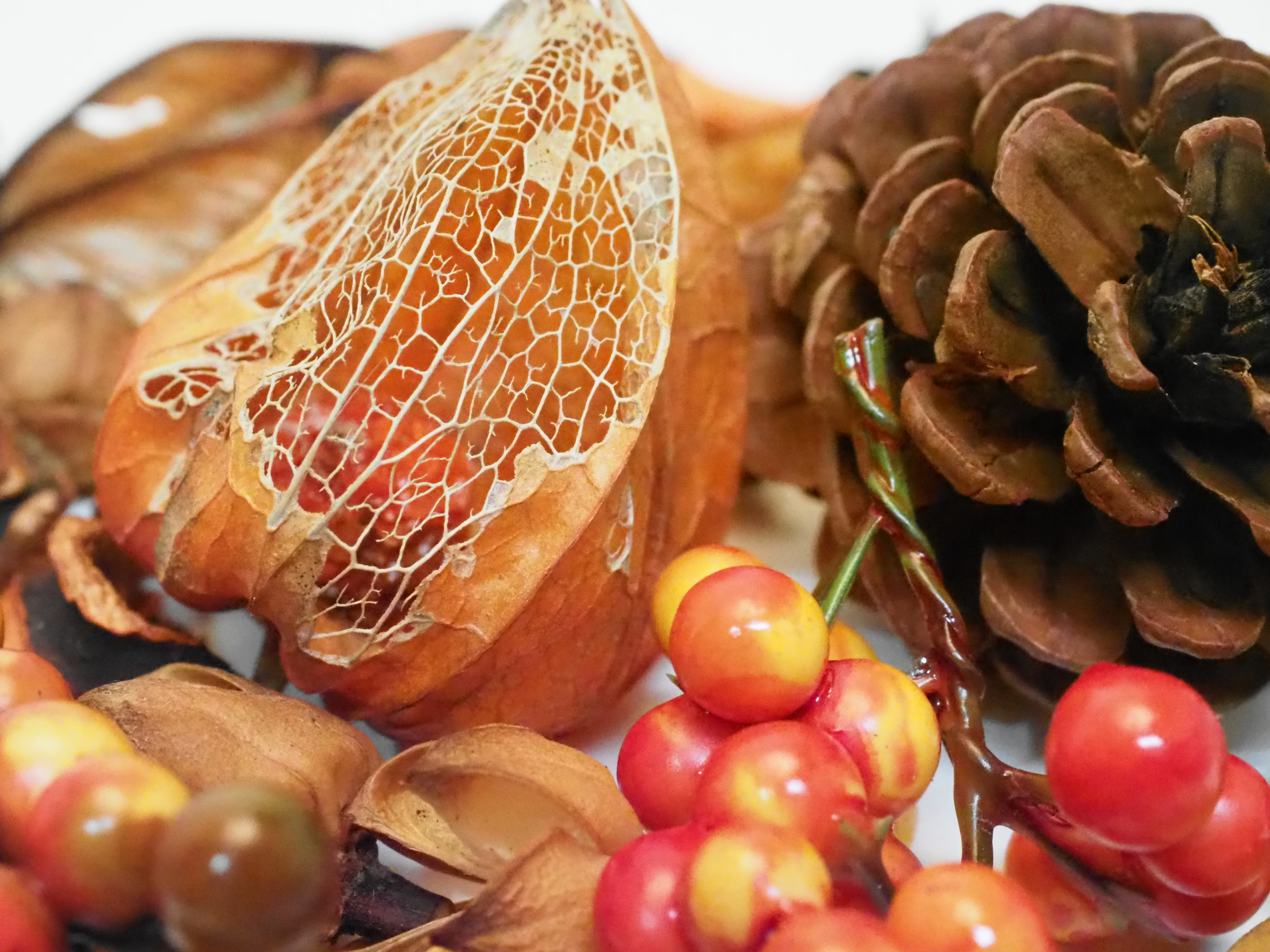 E-M1 Mark II / M.ZUIKO DIGITAL ED 12-40mm F2.8 PRO / 1/250秒 / F8 / +0.3EV / ISO25600 / 絞り優先AE / 40mm