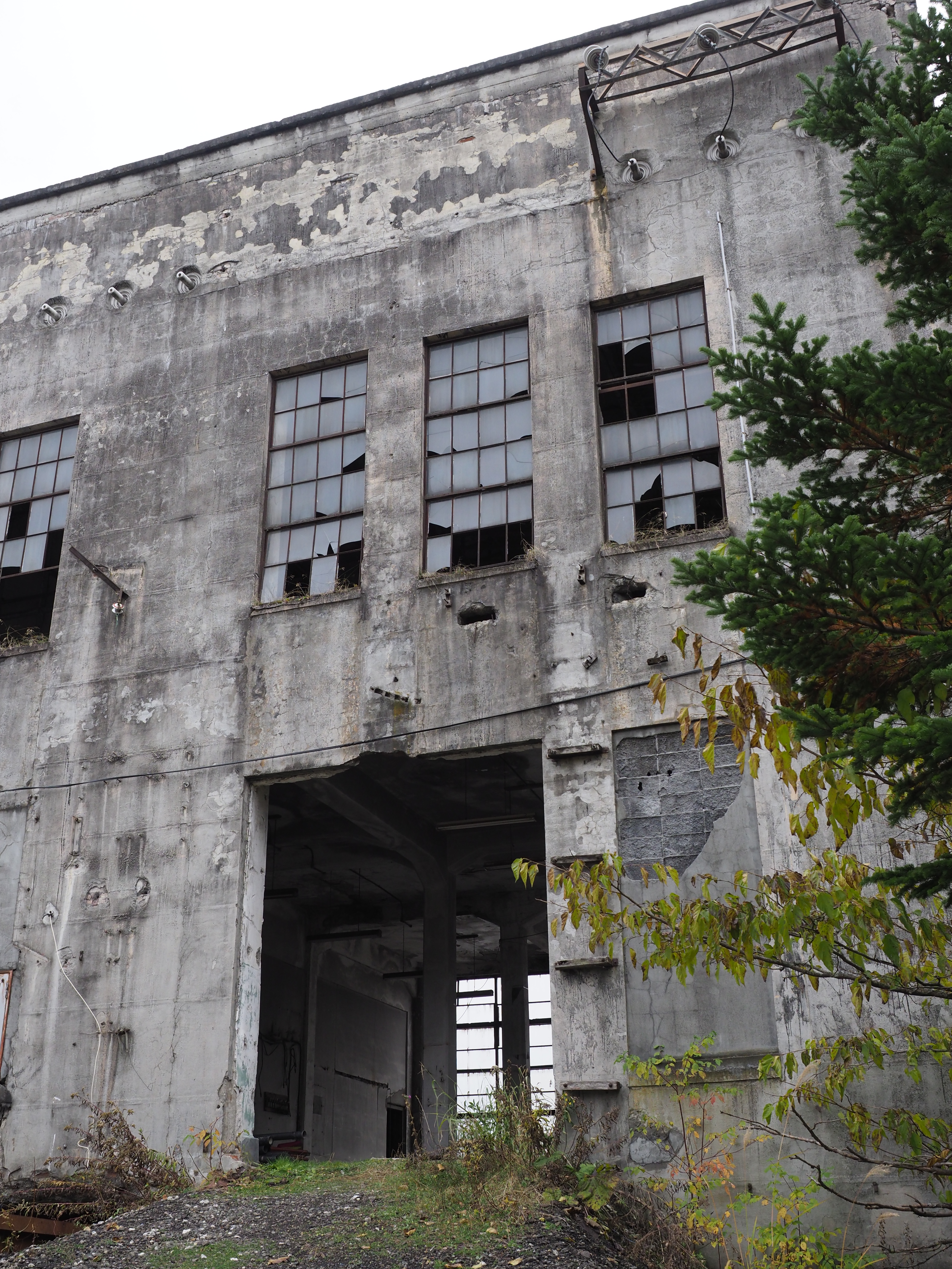 E-M1 Mark II / M.ZUIKO DIGITAL ED 12-40mm F2.8 PRO / 1/80秒 / F5.6 / 0EV / ISO400 / 絞り優先AE / 19mm