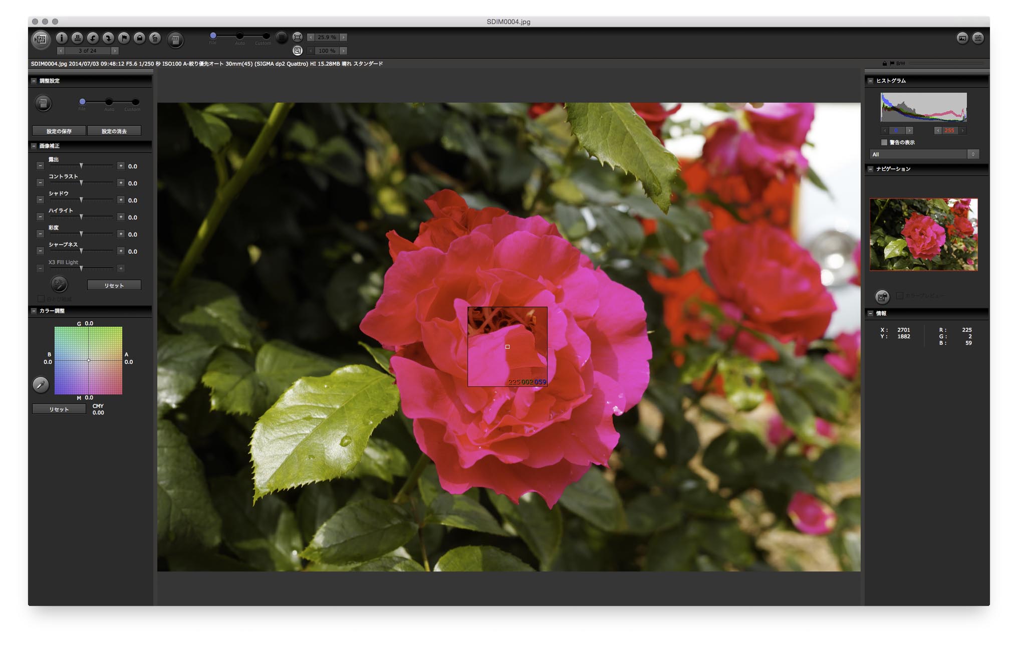 SIGMA Photo Pro 6