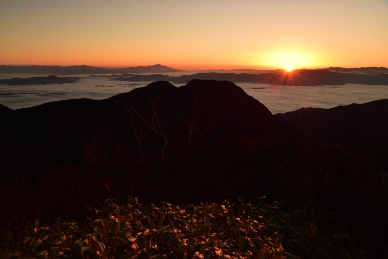 D810 / AF-S NIKKOR 24-70mm f/2.8E ED VR / 1/20秒 / F14 / ISO200 / マニュアル露出 / 27mm