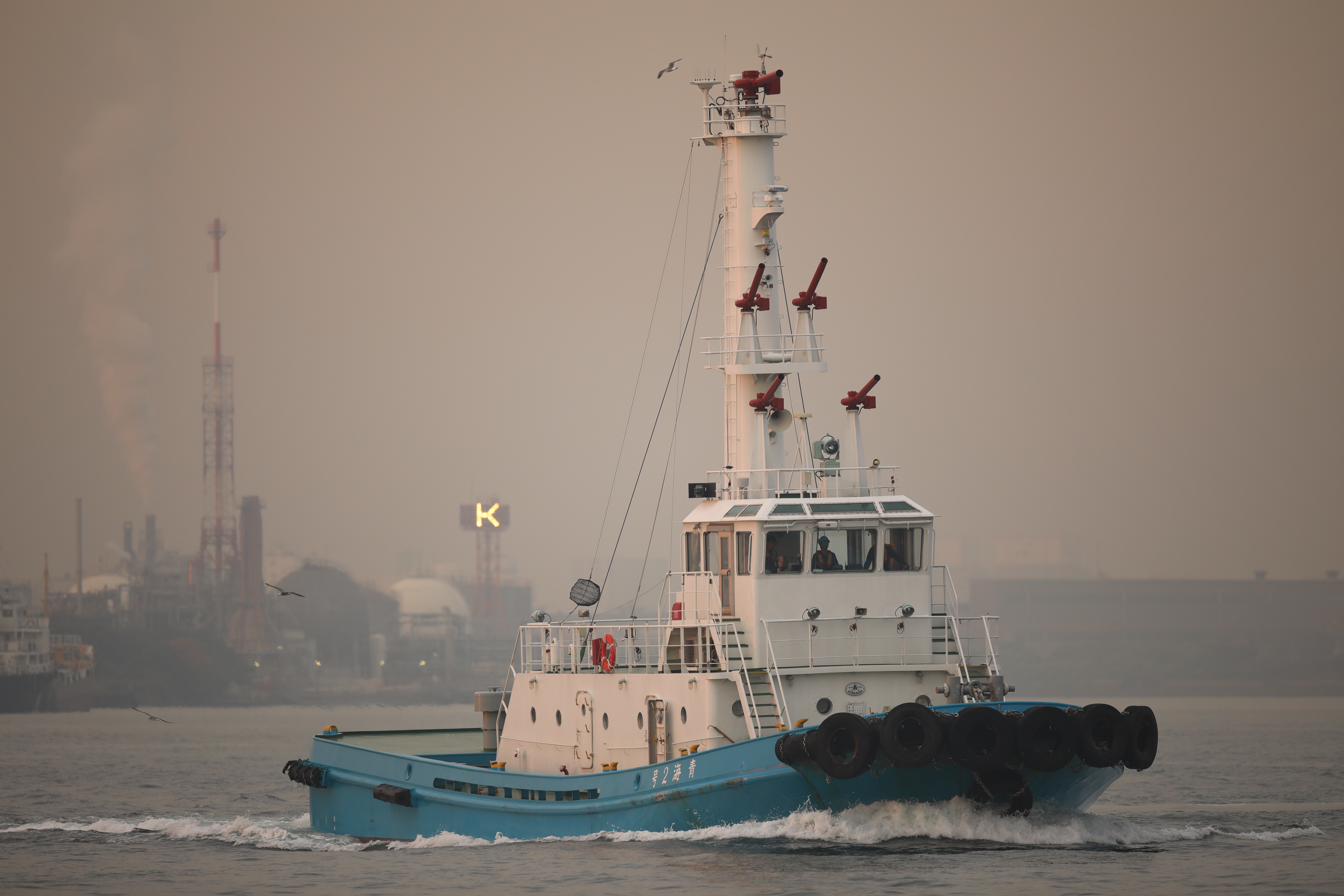 EOS 5D Mark IV / SIGMA 500mm F4 DG OS HSM | Sports / 1/160秒 / F4 / +0.3EV / ISO320 / シャッター優先AE / 500mm