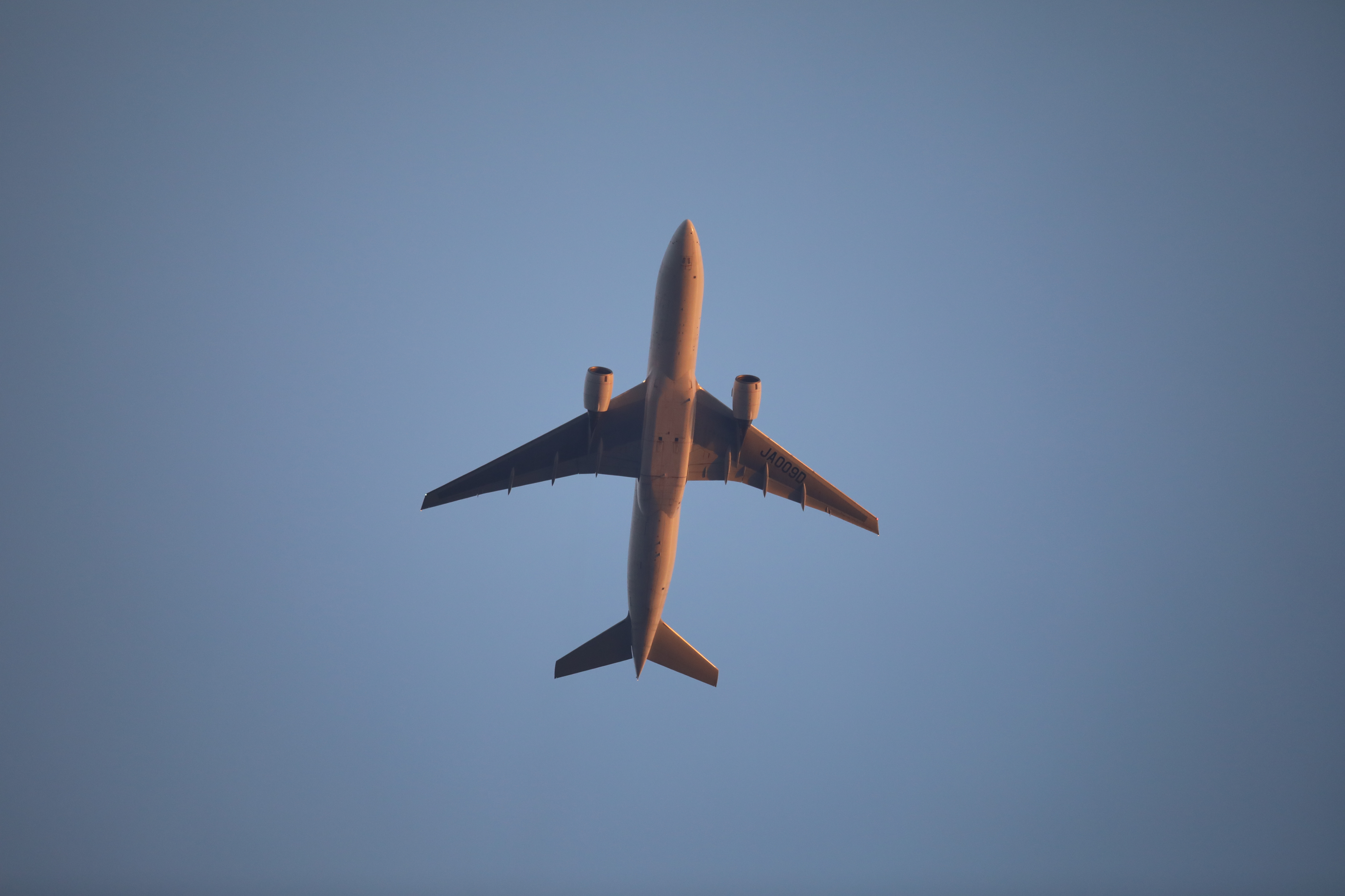 EOS 5D Mark IV / SIGMA 500mm F4 DG OS HSM | Sports / 1/800秒 / F4 / +0.3EV / ISO1000 / シャッター優先AE / 500mm