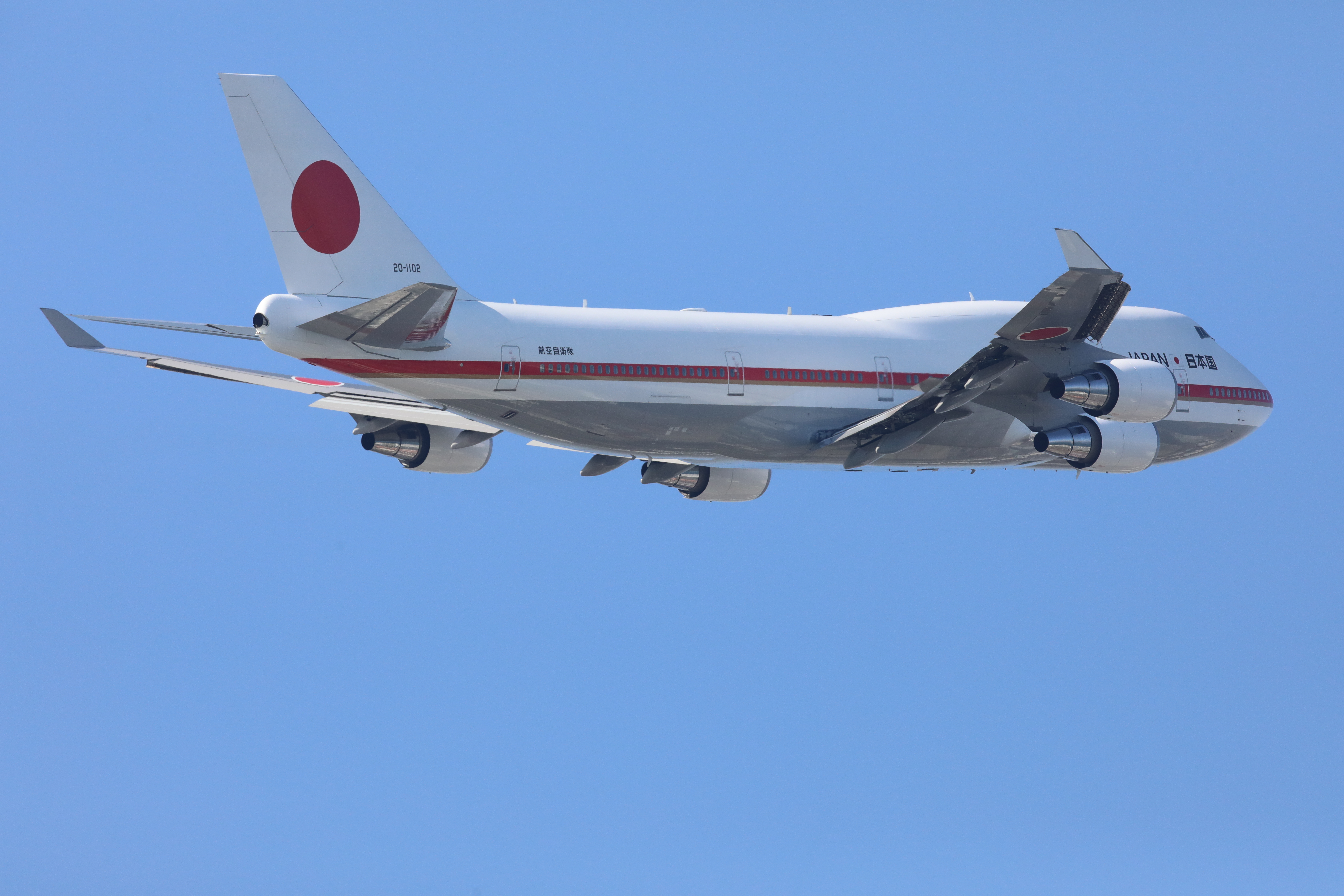 EOS 5D Mark IV / SIGMA 500mm F4 DG OS HSM | Sports / 1/1,600秒 / F11 / 0EV / ISO1000 / マニュアル露出 / 500mm