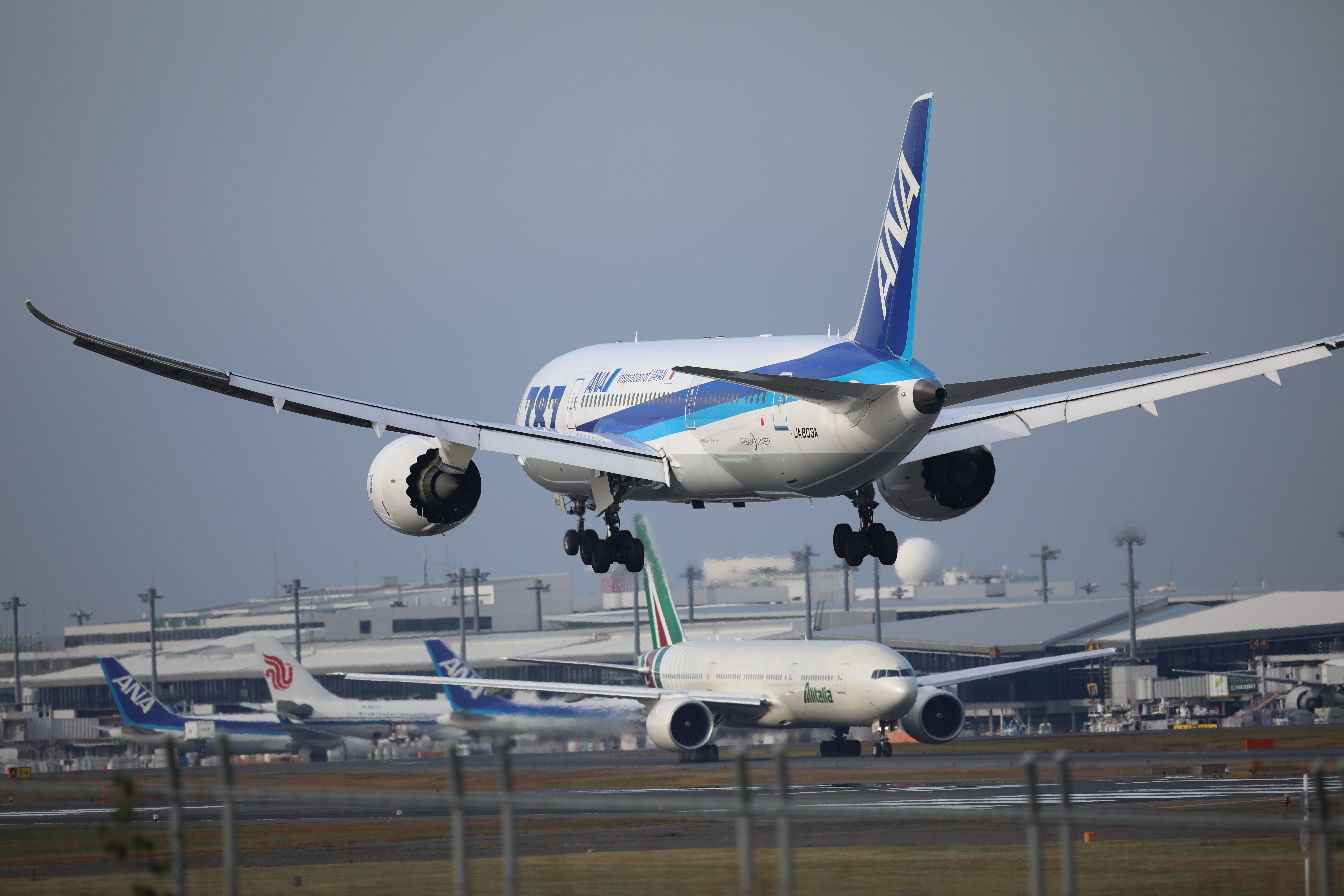 EOS 5D Mark IV / SIGMA 500mm F4 DG OS HSM | Sports / 1/1,250秒 / F4.5 / +0.3EV / ISO160 / シャッター優先AE / 500mm