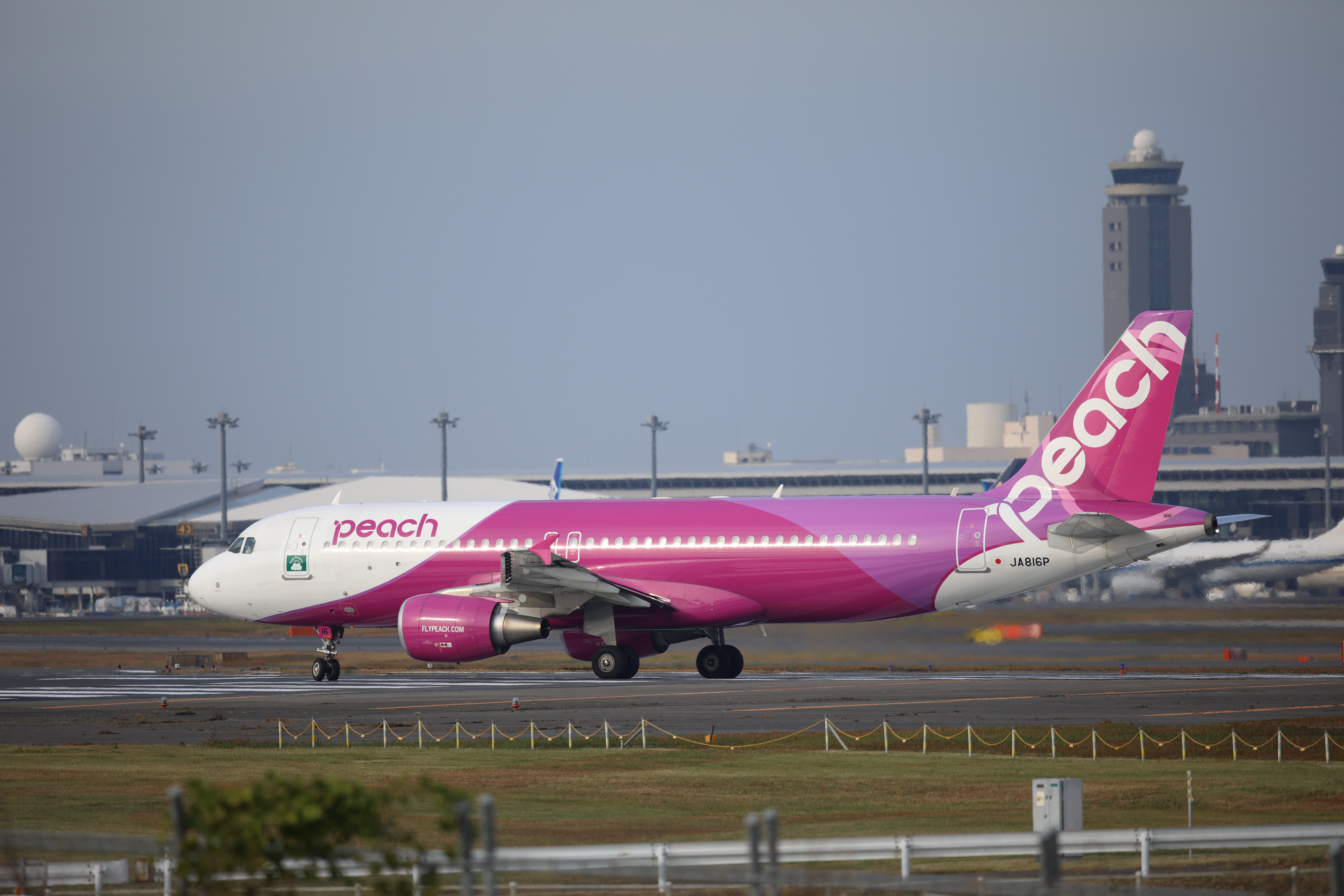 EOS 5D Mark IV / SIGMA 500mm F4 DG OS HSM | Sports / 1/1,250秒 / F4.5 / +0.3EV / ISO200 / シャッター優先AE / 500mm