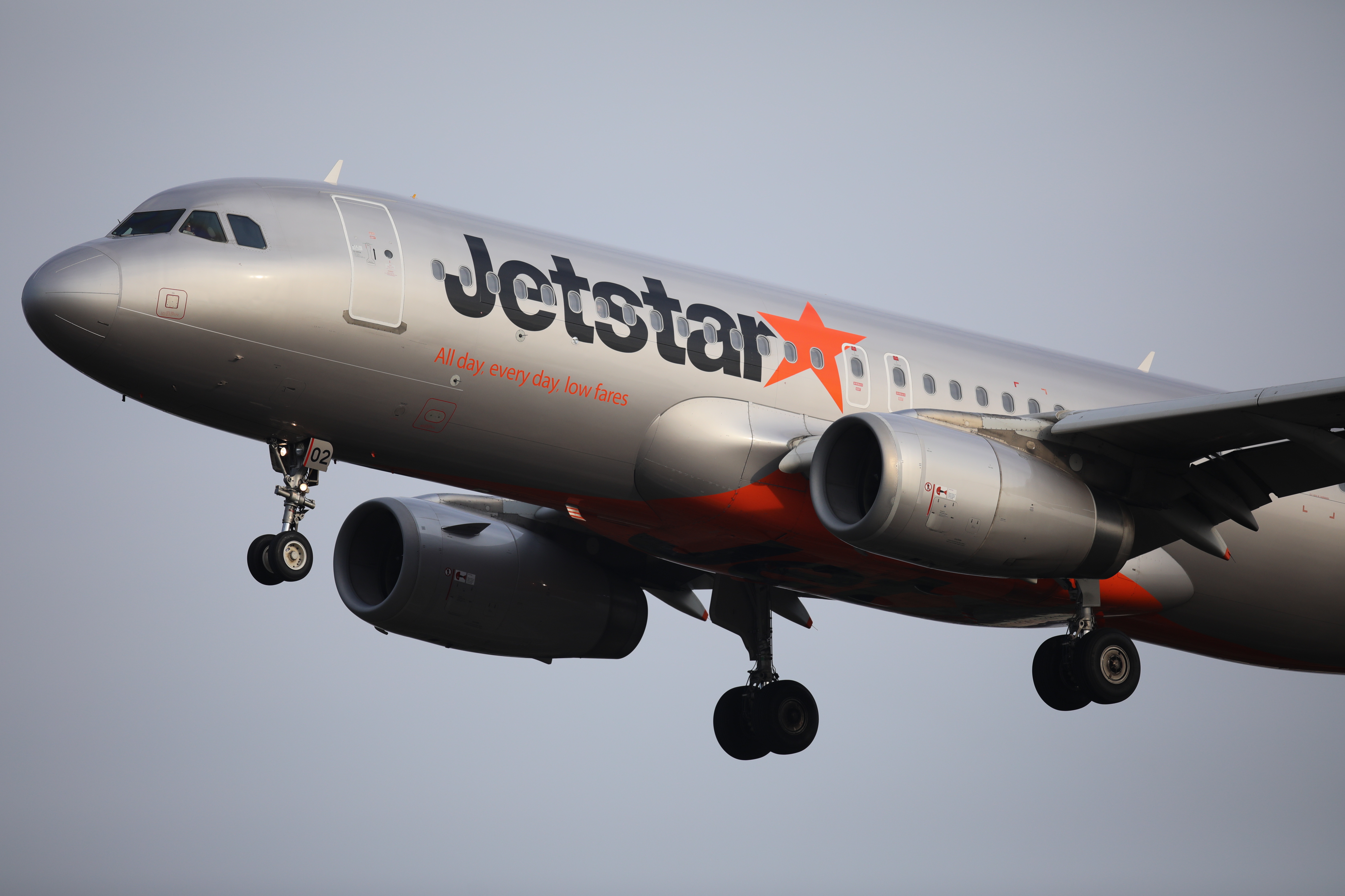 EOS 5D Mark IV / SIGMA 500mm F4 DG OS HSM | Sports / 1/2,000秒 / F4 / 0EV / ISO250 / シャッター優先AE / 500mm