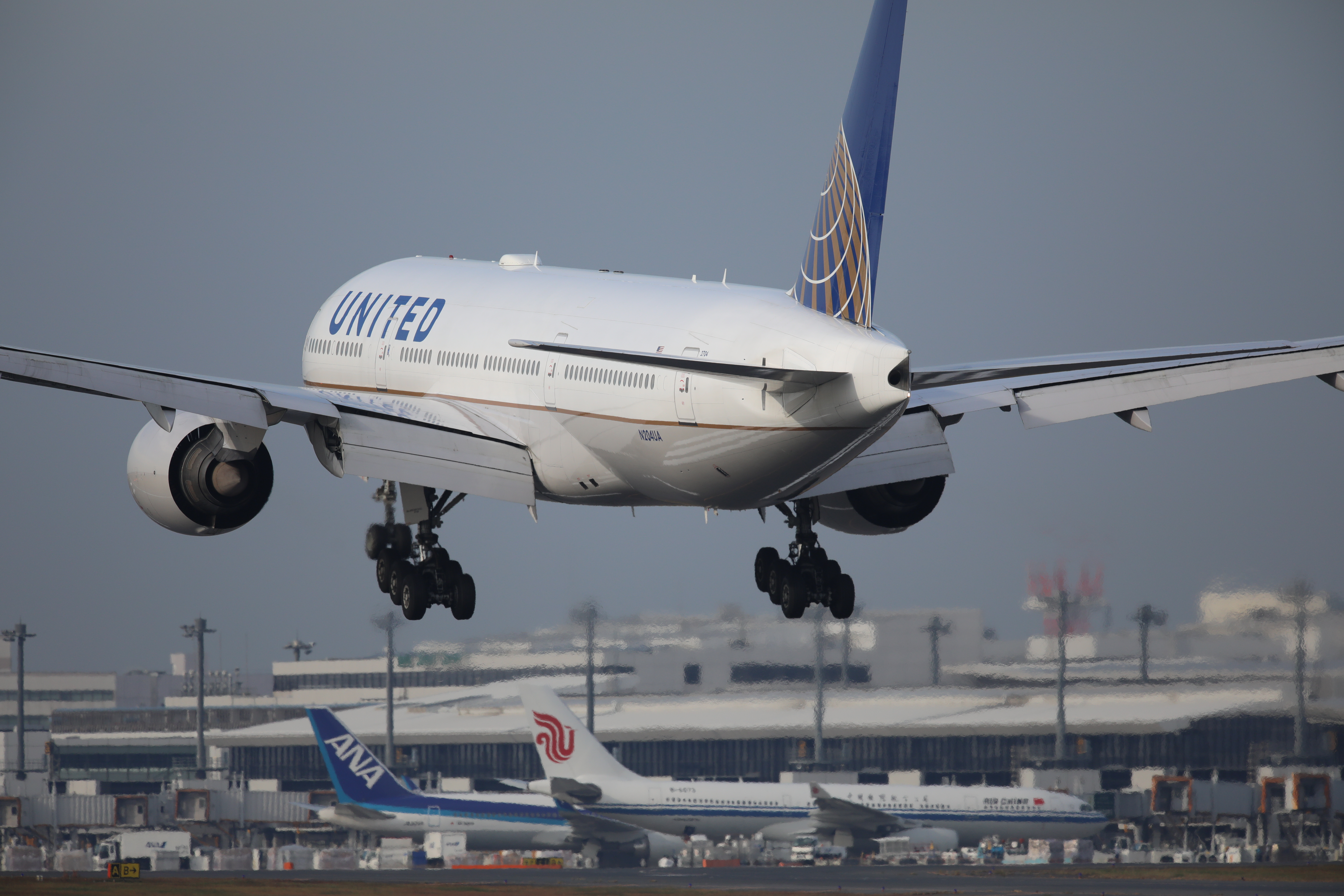 EOS 5D Mark IV / SIGMA 500mm F4 DG OS HSM | Sports / 1/2,000秒 / F5.6 / 0EV / ISO400 / シャッター優先AE / 700mm