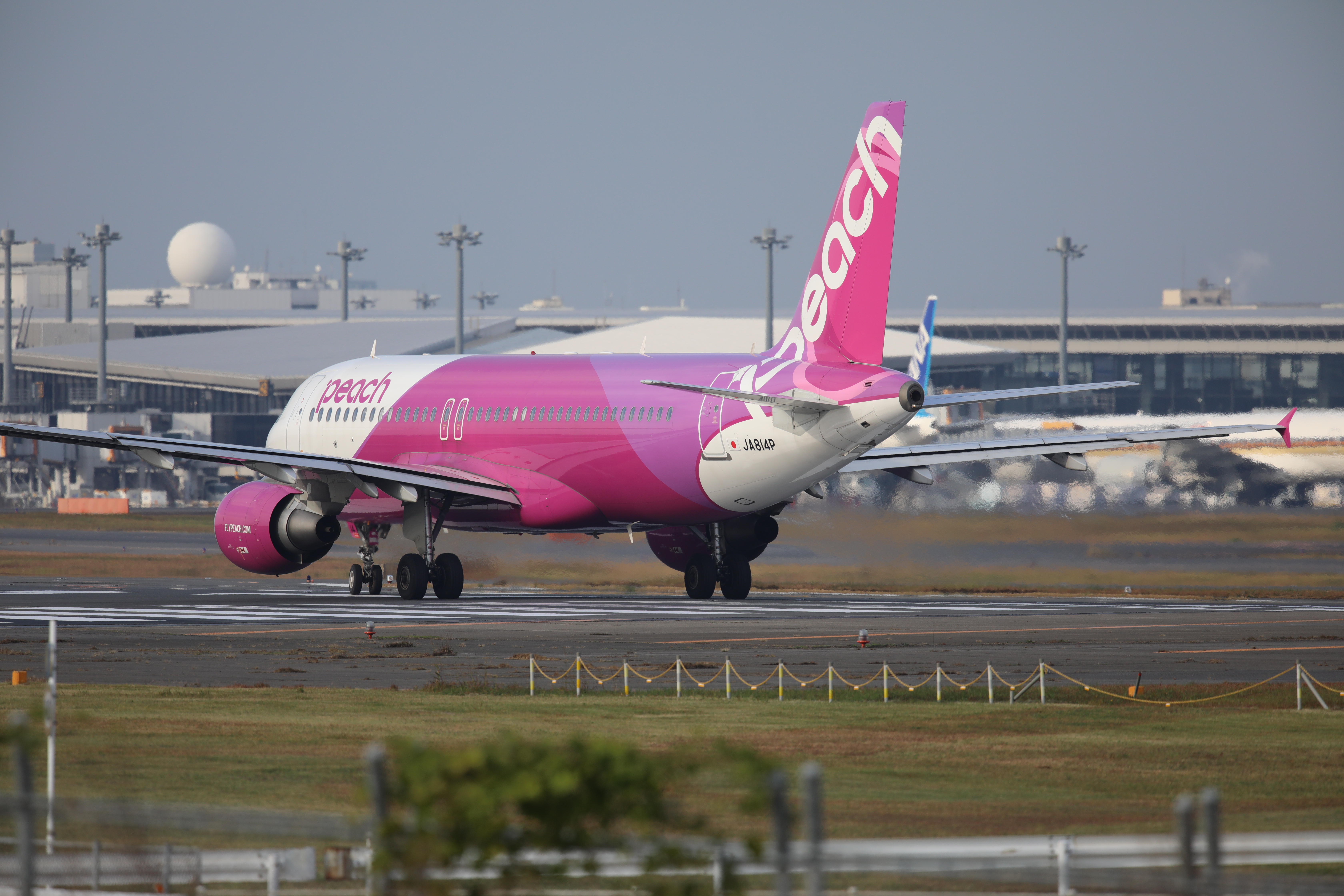 EOS 5D Mark IV / SIGMA 500mm F4 DG OS HSM | Sports / 1/1,000秒 / F6.3 / 0EV / ISO320 / シャッター優先AE / 700mm