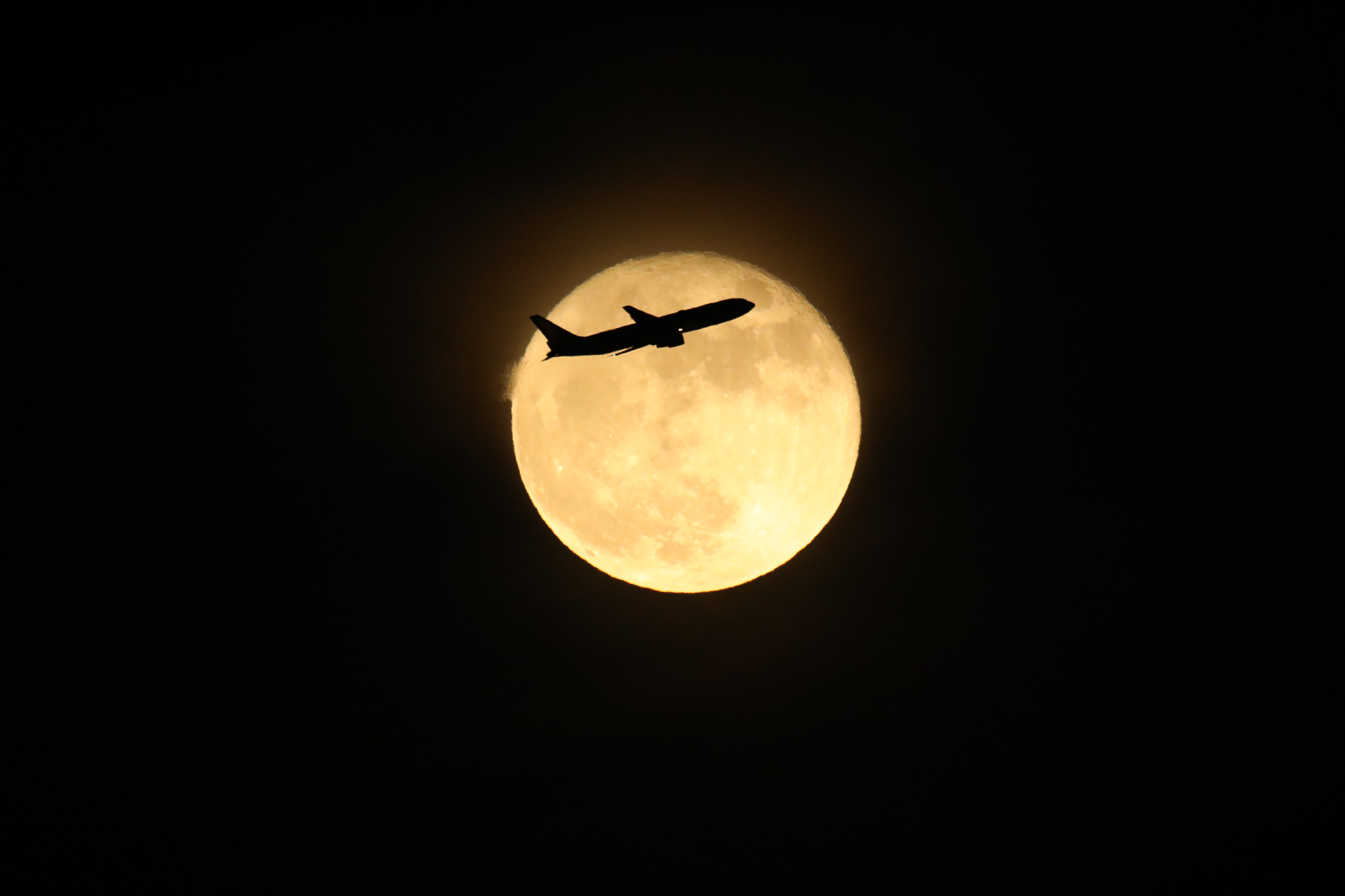 EOS 5D Mark IV / SIGMA 500mm F4 DG OS HSM | Sports / 1/500秒 / F8 / 0EV / ISO6400 / マニュアル露出 / 1,000mm