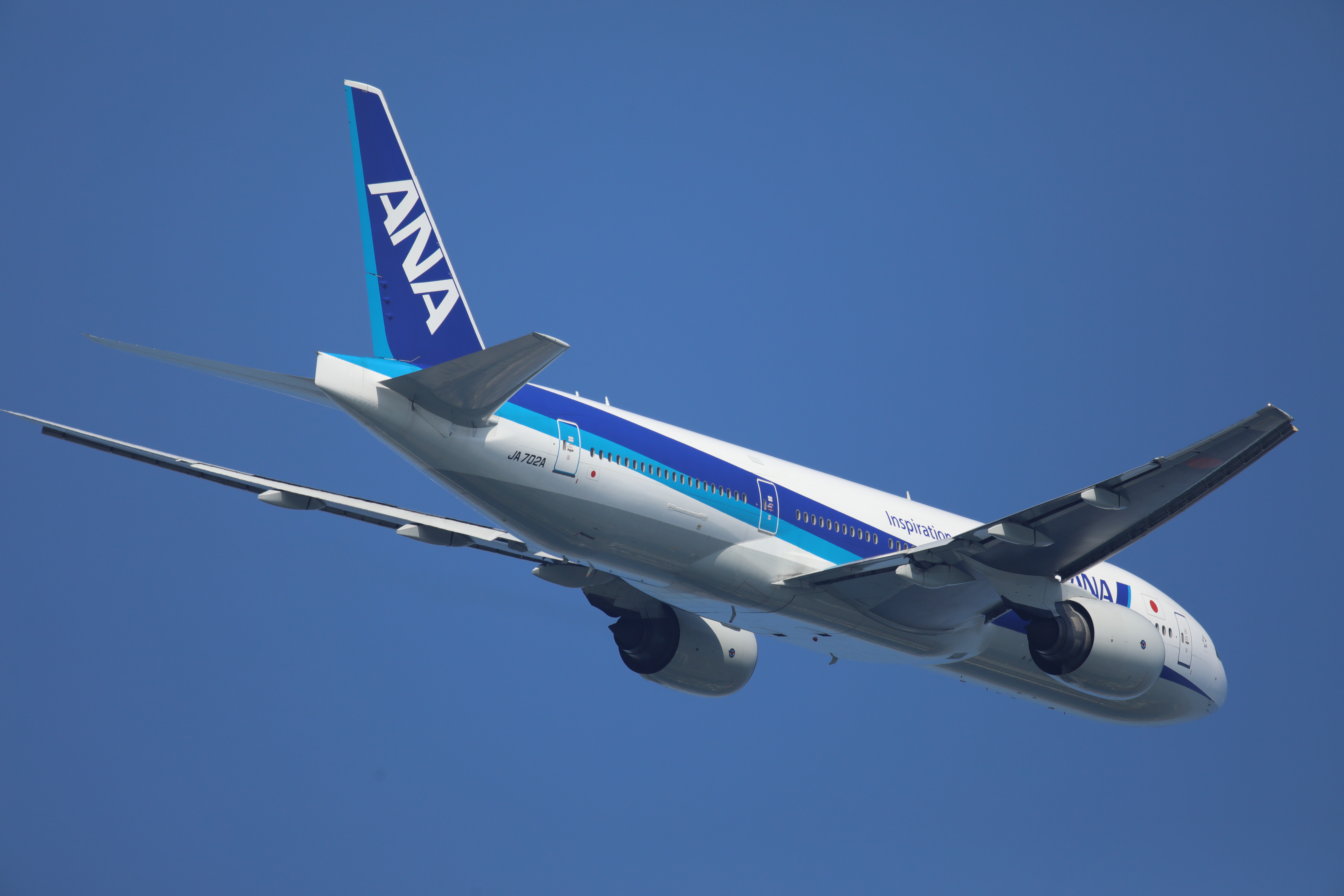 EOS 5D Mark IV / SIGMA 500mm F4 DG OS HSM | Sports / 1/1,600秒 / F8 / -0.3EV / ISO400 / マニュアル露出 / 1,000mm