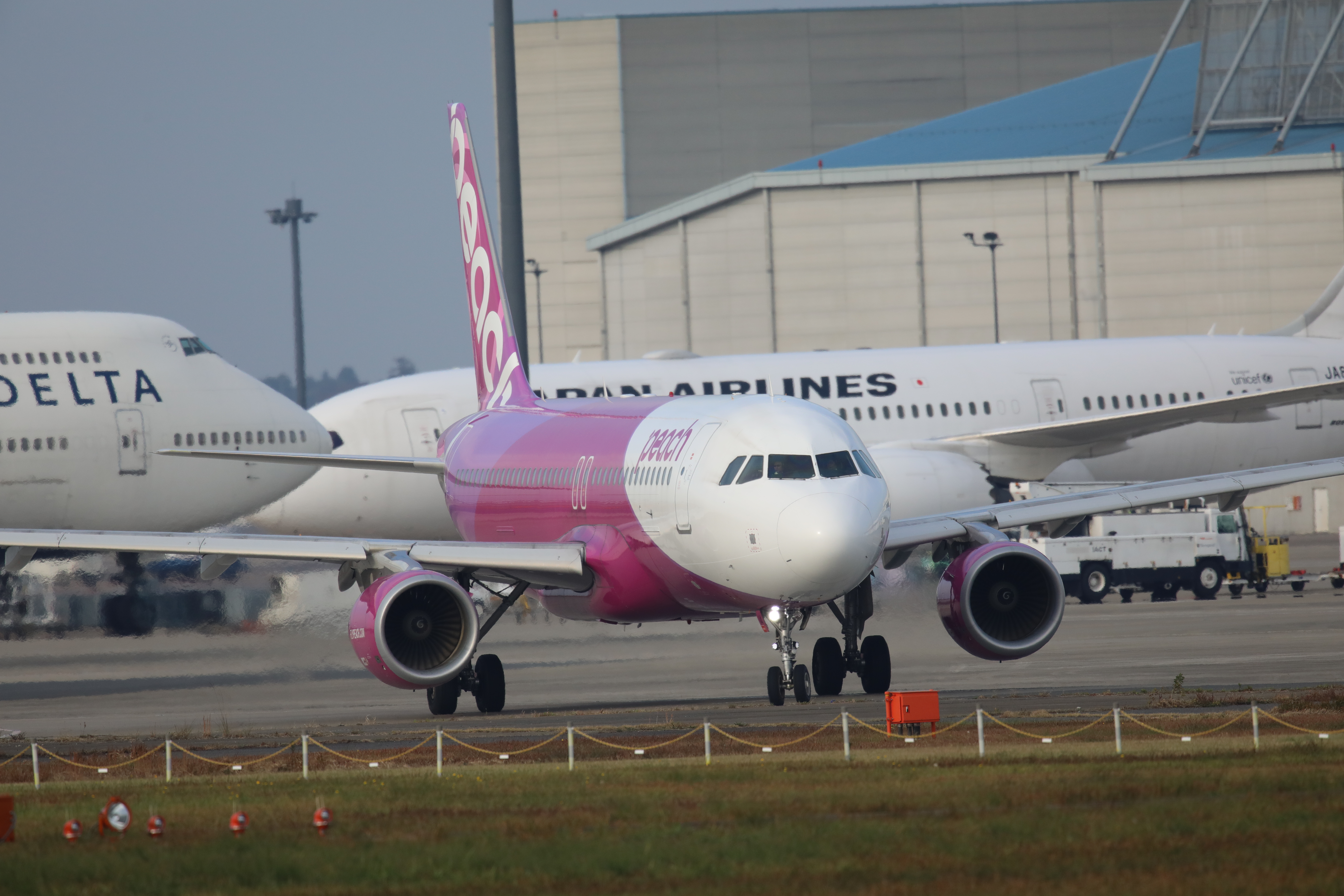 EOS 5D Mark IV / SIGMA 500mm F4 DG OS HSM | Sports / 1/1,600秒 / F8 / 0EV / ISO800 / シャッター優先AE / 1,000mm