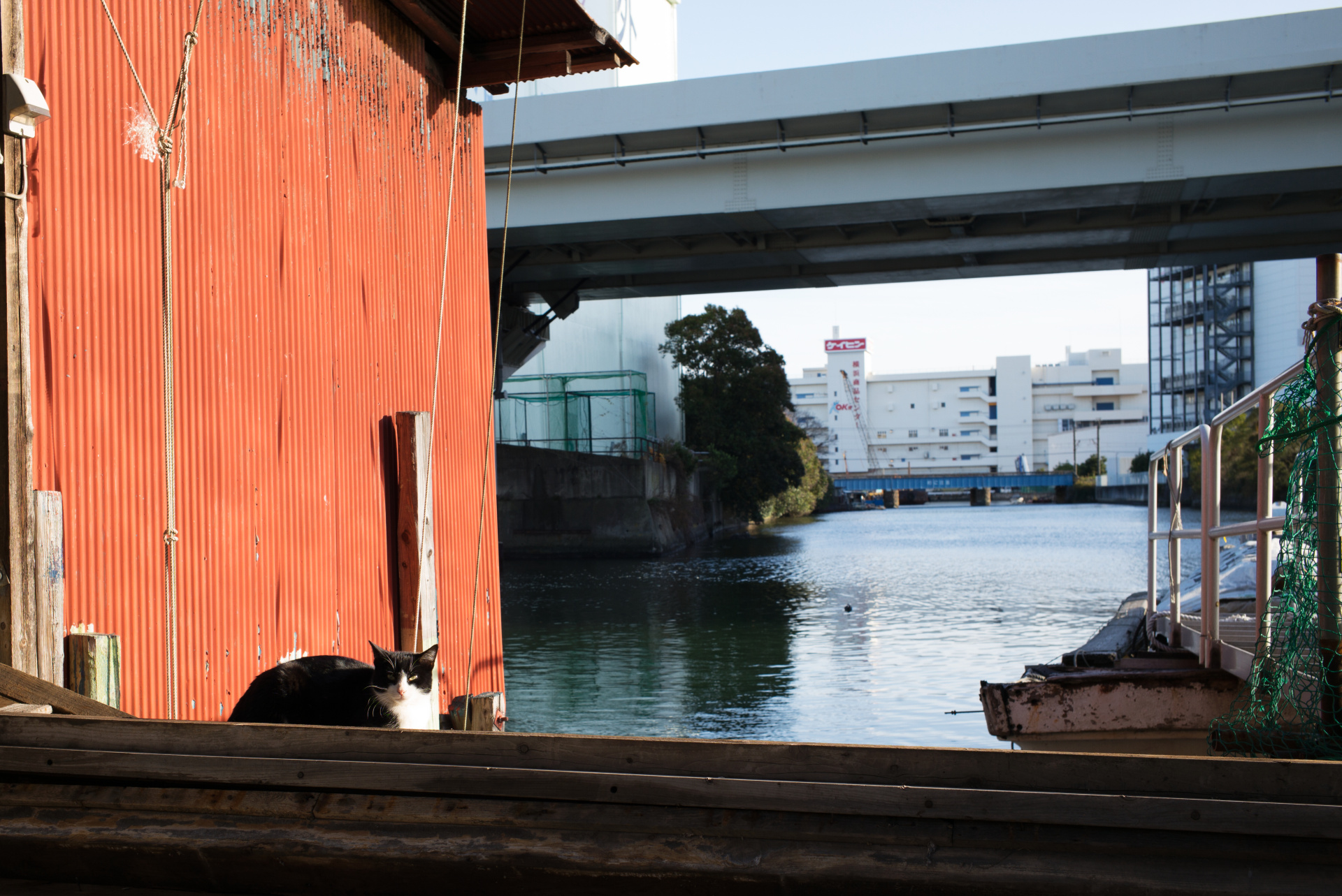 ライカらしい立体感はこのレンズでも健在。決して平面的ではなく、ぐっと立ち上がってくる描写だ。LEICA M（Typ240）/ ISO200 / F8 / 1/125秒 / WB:オート