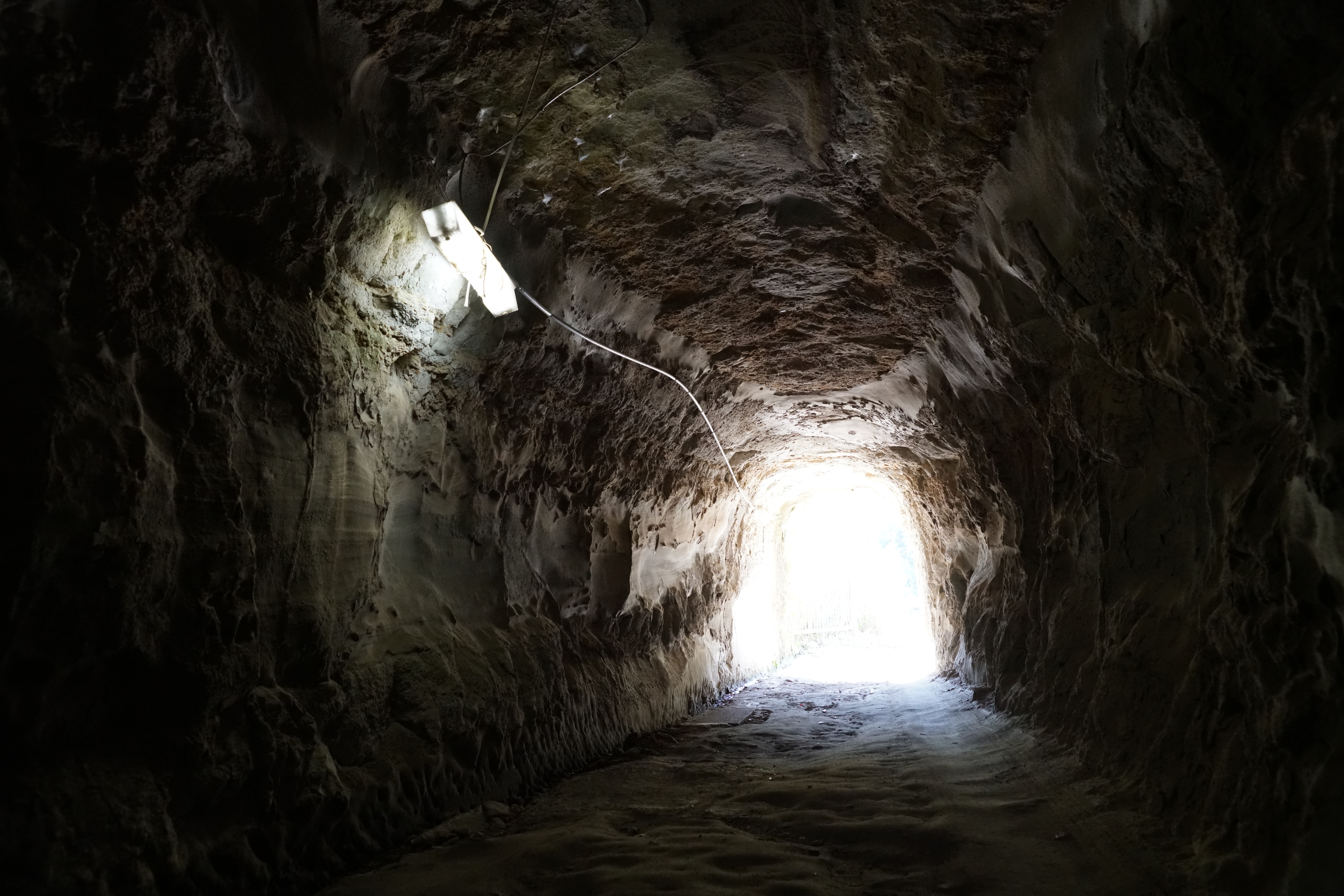 α99 II / Vario-Sonnar T* 24-70mm F2.8 ZA SSM II / 1/60秒 / F5.6 / 0EV / ISO6400 / 絞り優先AE / 24mm