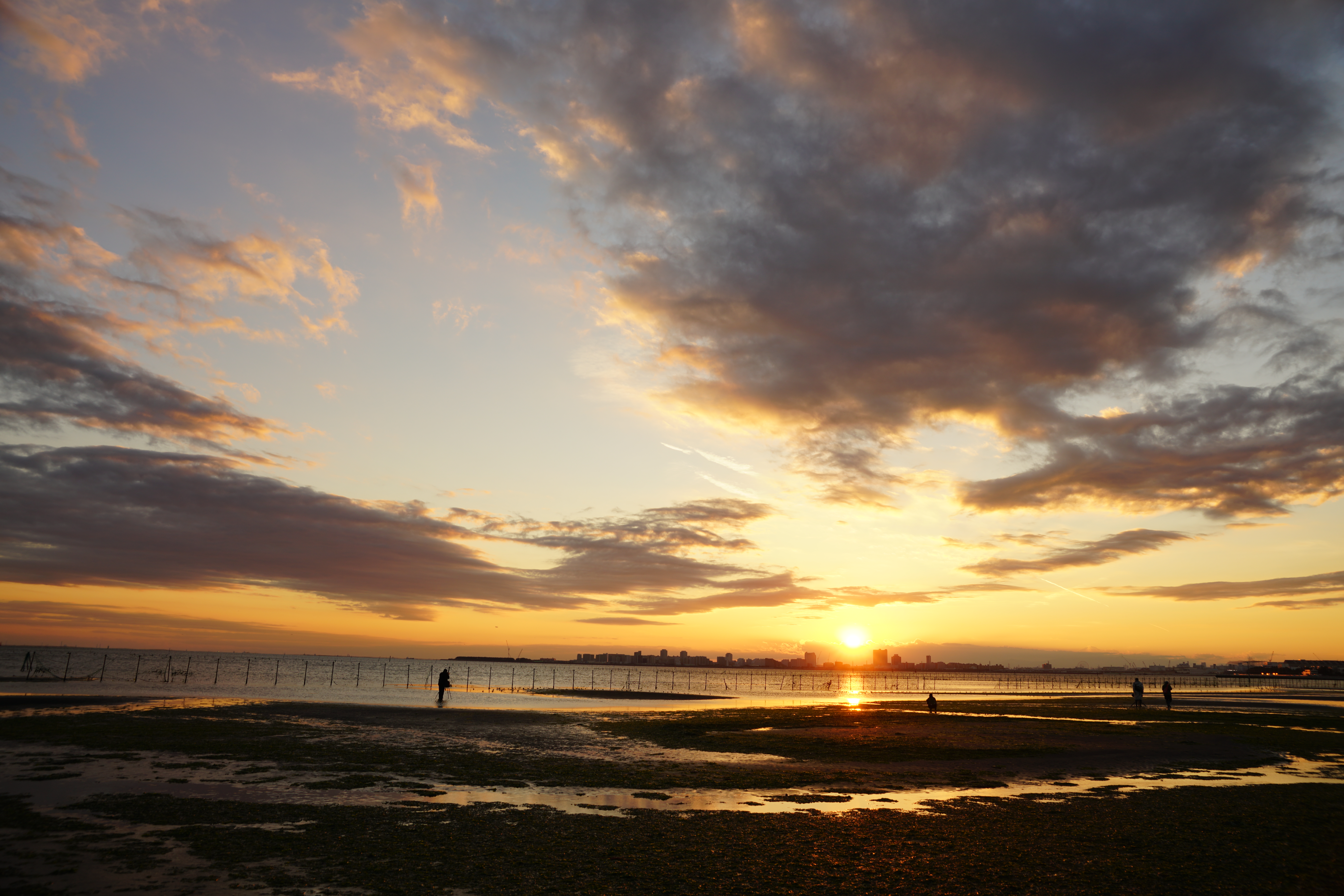 α99 II / Vario-Sonnar T* 24-70mm F2.8 ZA SSM II / 1/60秒 / F8 / -0.7EV / ISO100 / 絞り優先AE / 24mm