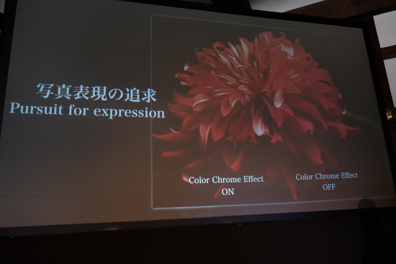 新機能のカラークロームエフェクトを使用すると高彩度の被写体でもディテールが保てるという