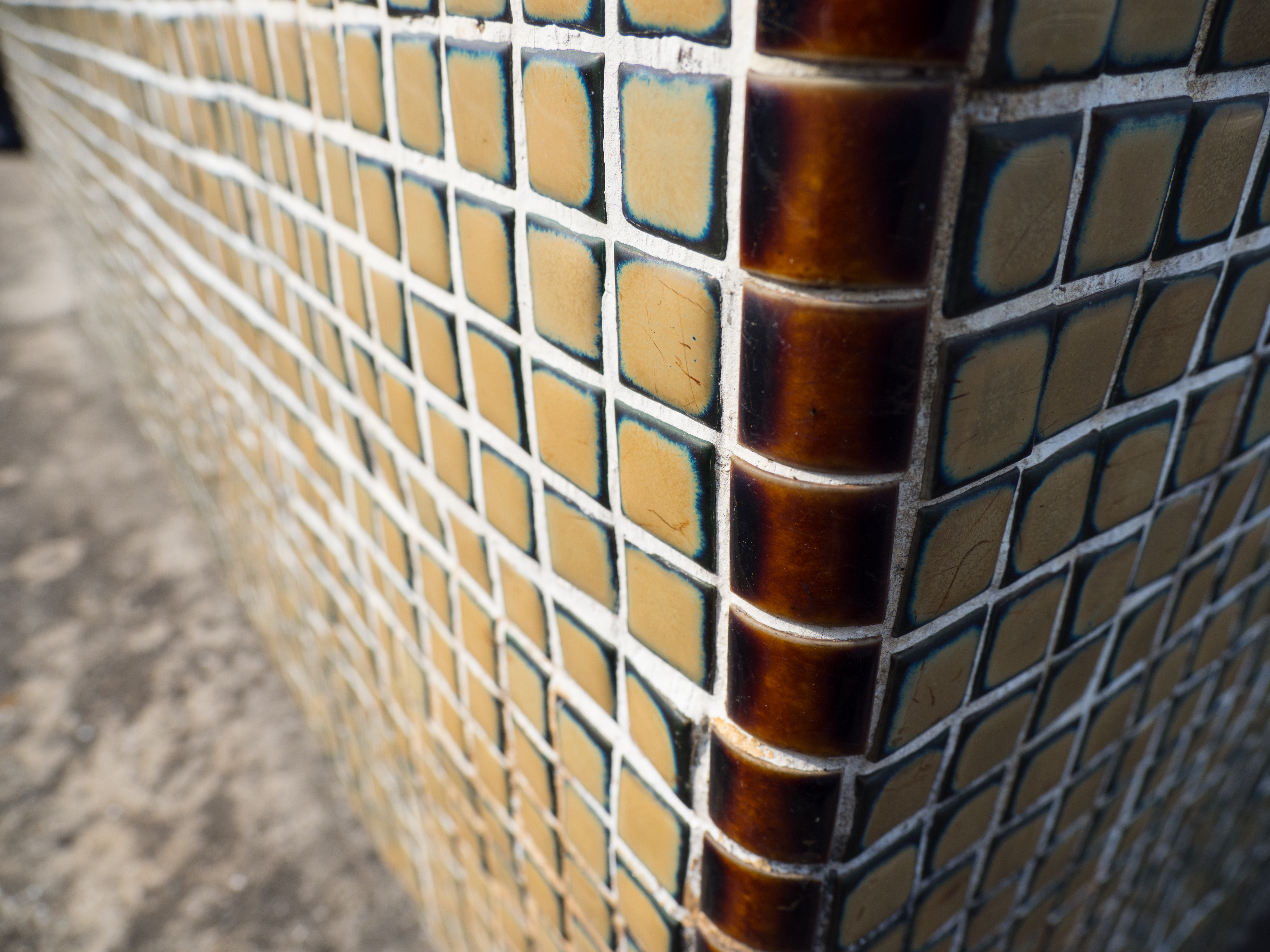 E-M1 Mark II / 1/1,000秒 / F4 / 0EV / ISO200 / 絞り優先AE / 12mm