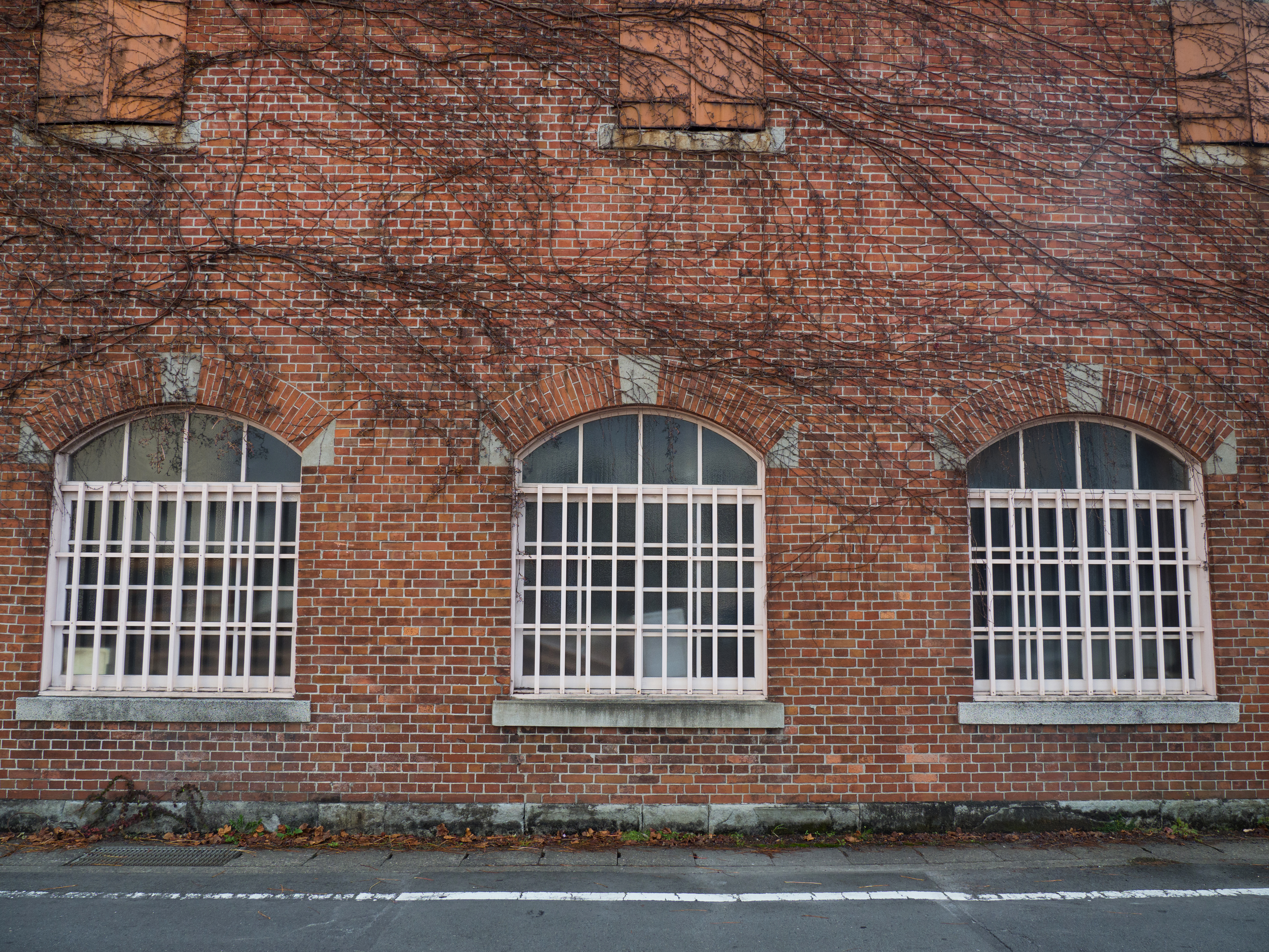 E-M1 Mark II / 1/250秒 / F5.6 / -0.3EV / ISO200 / 絞り優先AE / 12mm