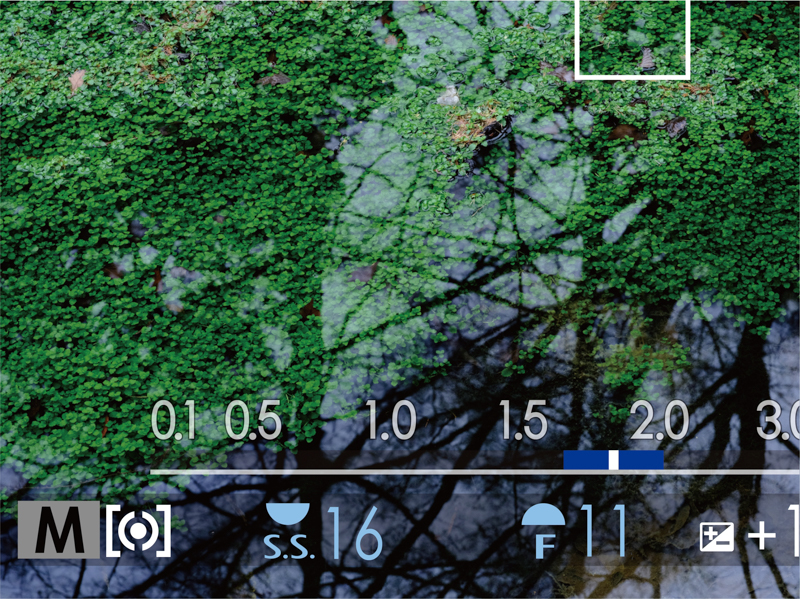 被写界深度スケール