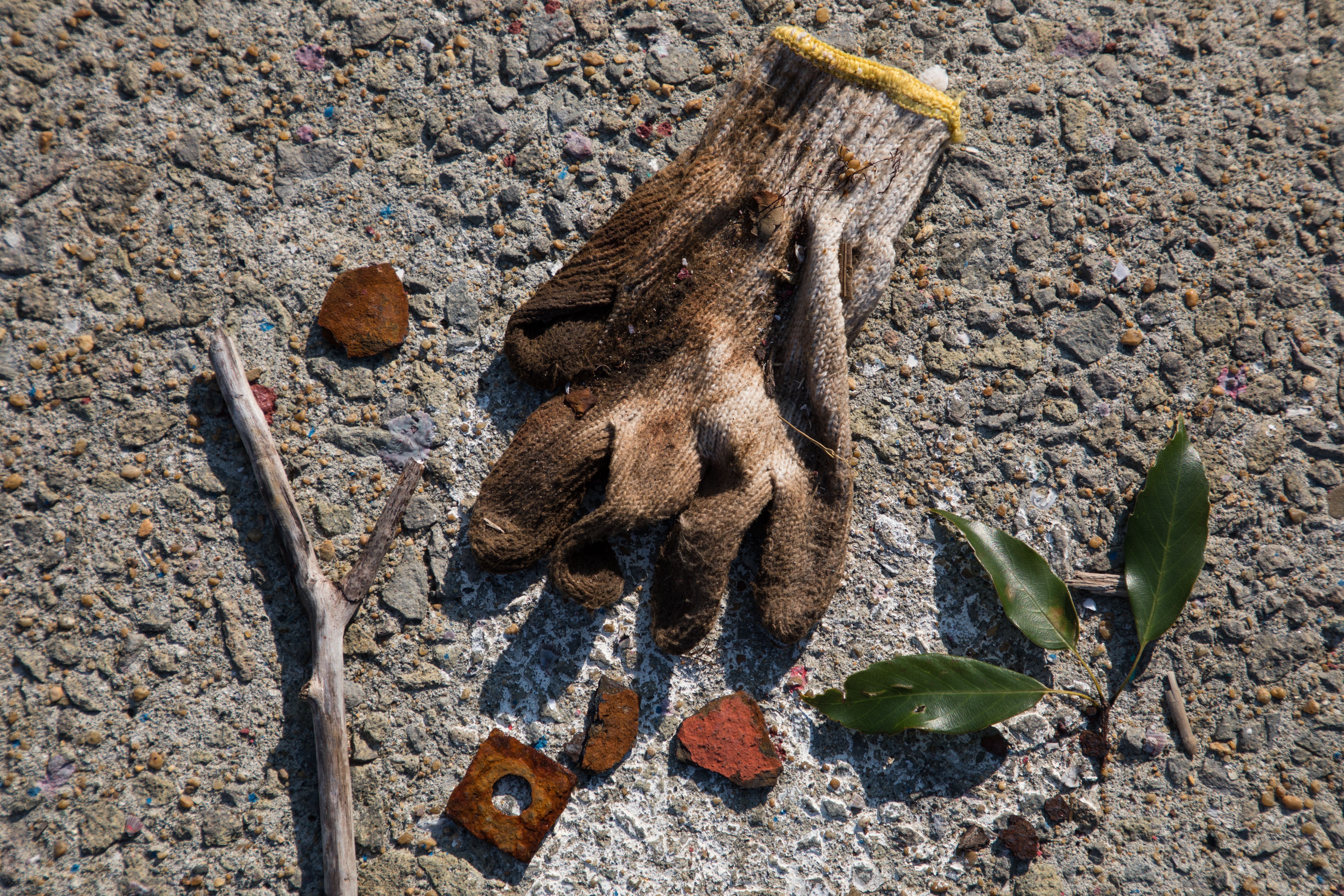 EOS 5D Mark IV / 1/320秒 / F8 / -0.7EV / ISO100 / 絞り優先AE / 85mm