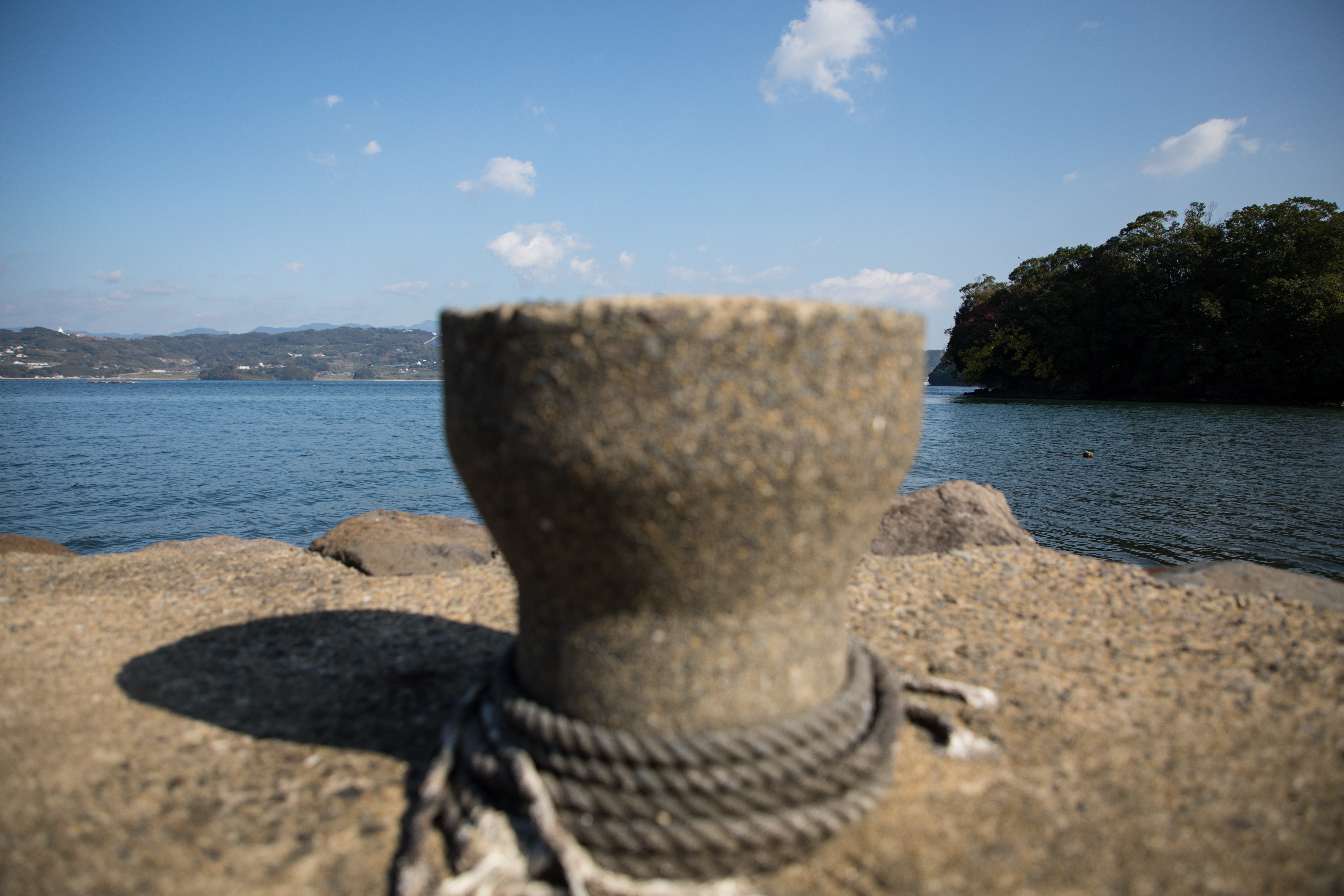 EOS 5D Mark IV / 1/1,000秒 / F4 / 0EV / ISO100 / 絞り優先AE / 24mm