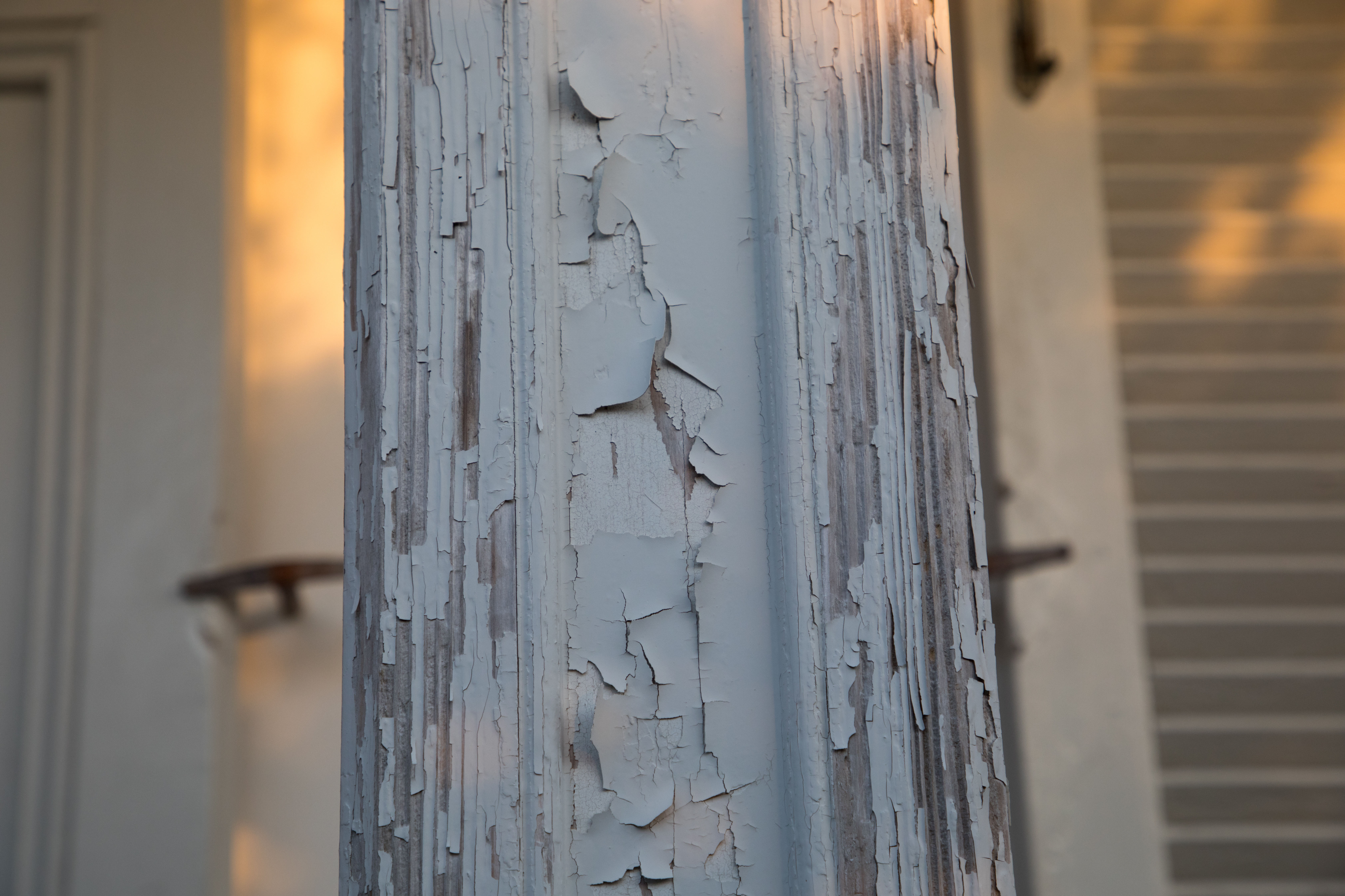 EOS 5D Mark IV / 1/200秒 / F6.3 / 0EV / ISO400 / 絞り優先AE / 70mm