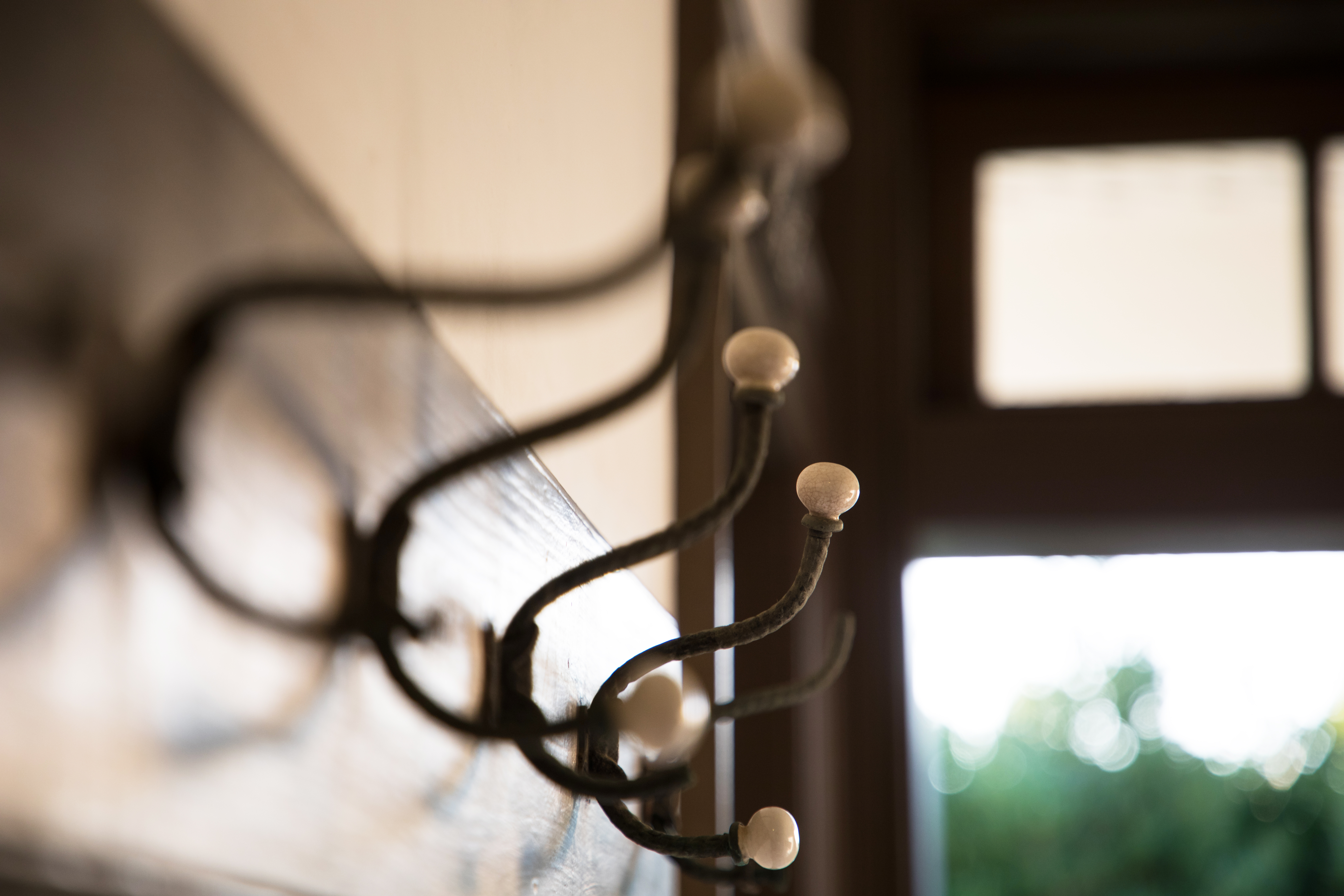 EOS 5D Mark IV / 1/100秒 / F4 / 0EV / ISO400 / 絞り優先AE / 105mm