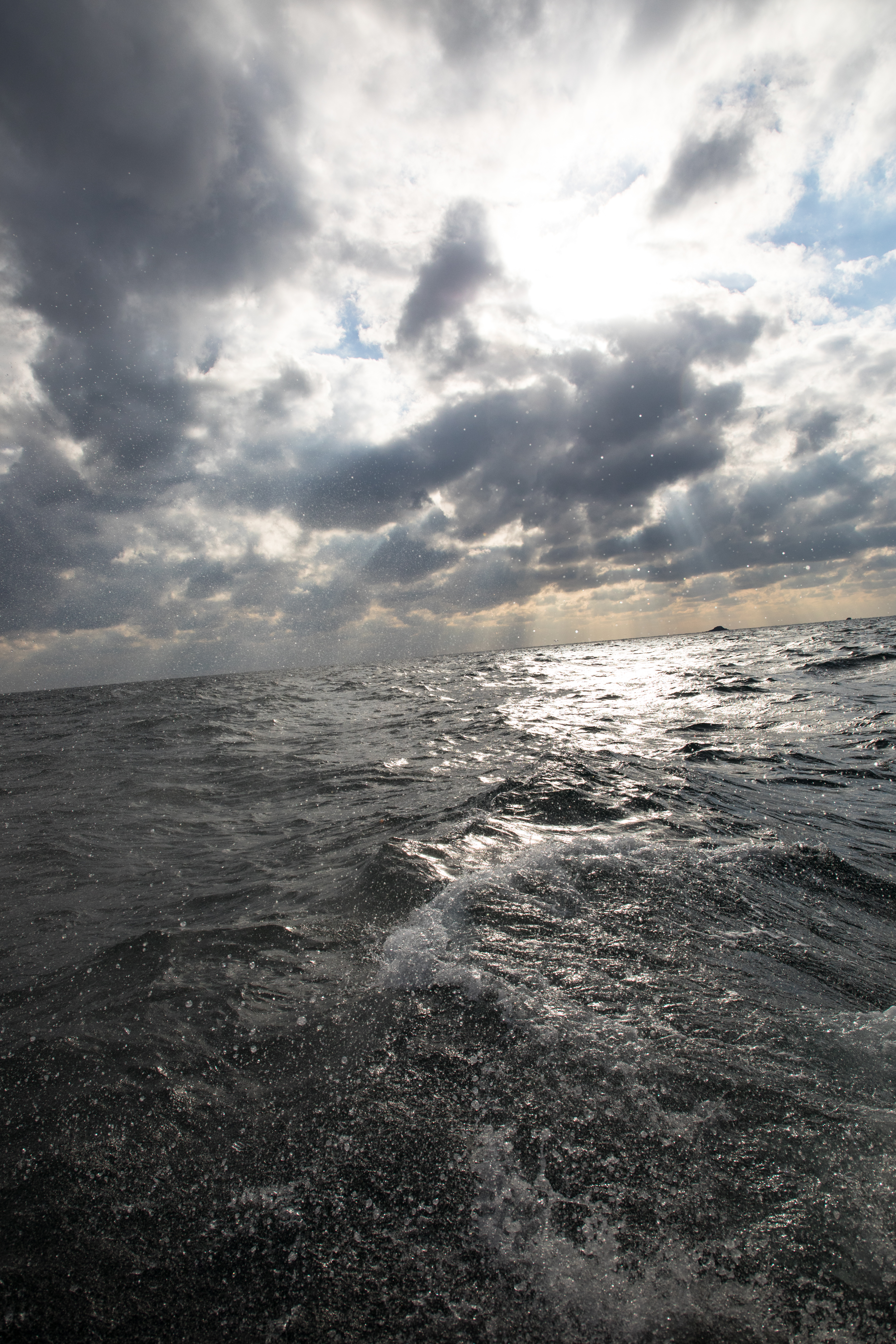 EOS 5D Mark IV / 1/4,000秒 / F8 / +0.7EV / ISO400 / 絞り優先AE / 24mm